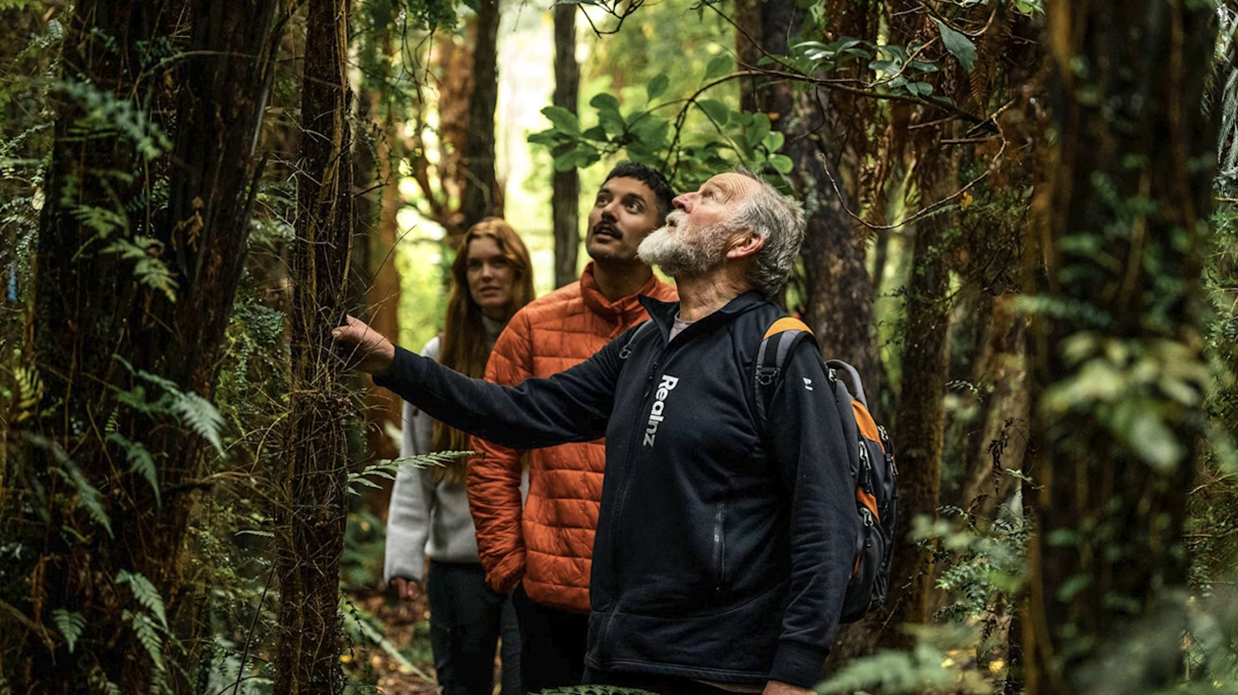Group of three people exploring a dense, green forest, with one person pointing at a plant or tree.