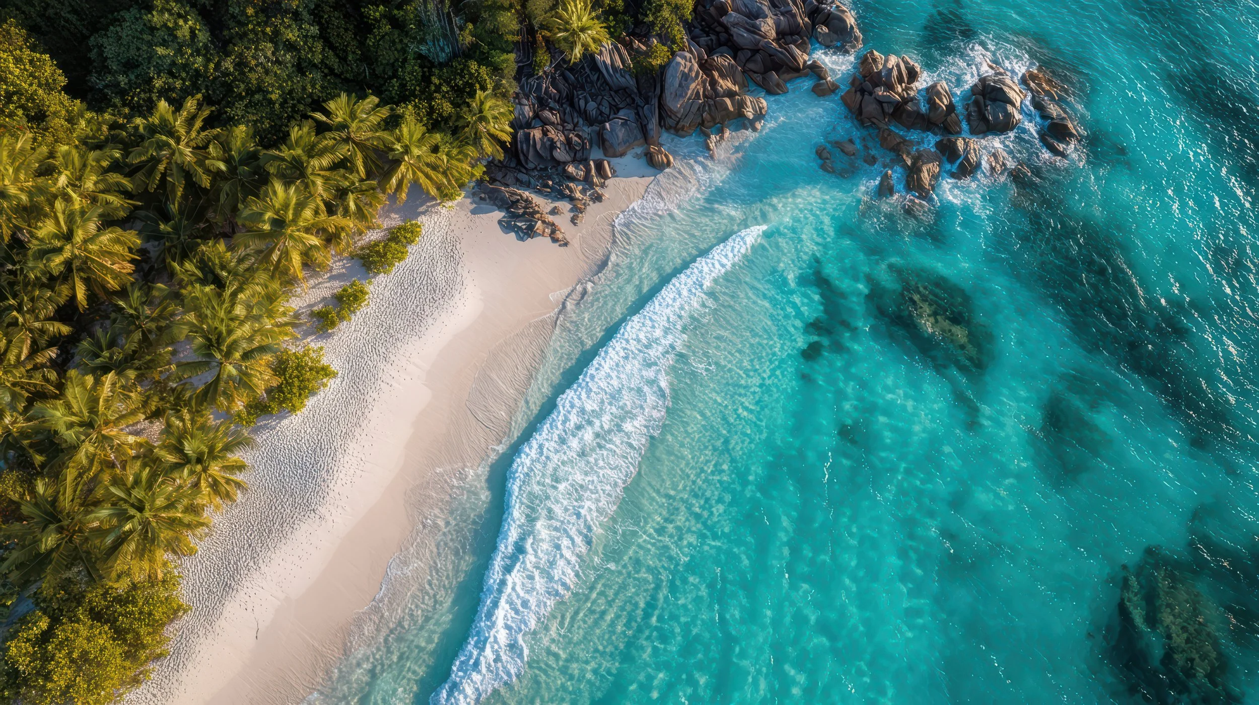 Aerial view of a tropical beach with white sand, lush green palm trees, and clear blue ocean water with rocks near the shoreline.