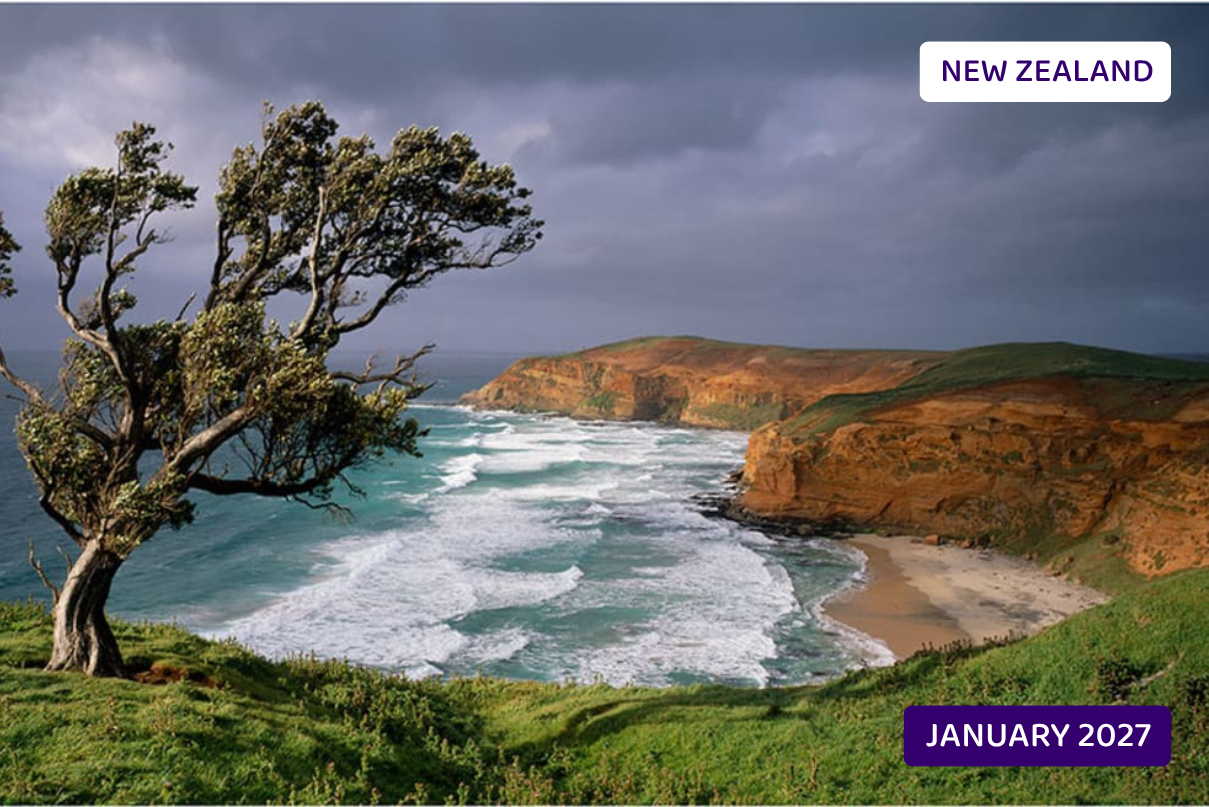 The Chatham Islands
