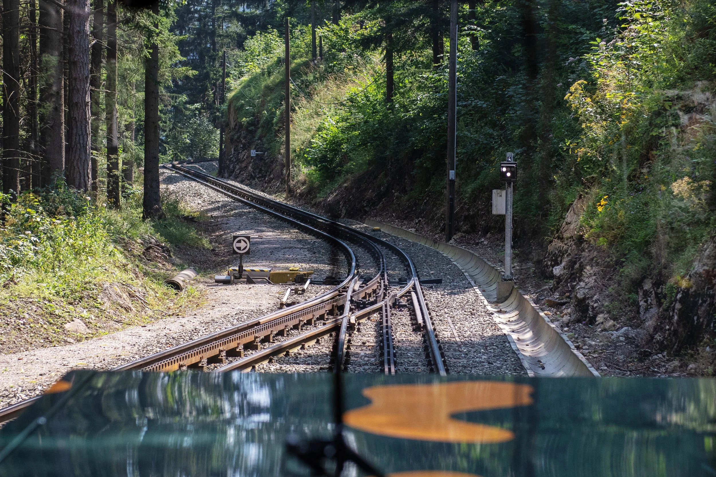 railroad-tracks-amidst-trees-forest.jpg