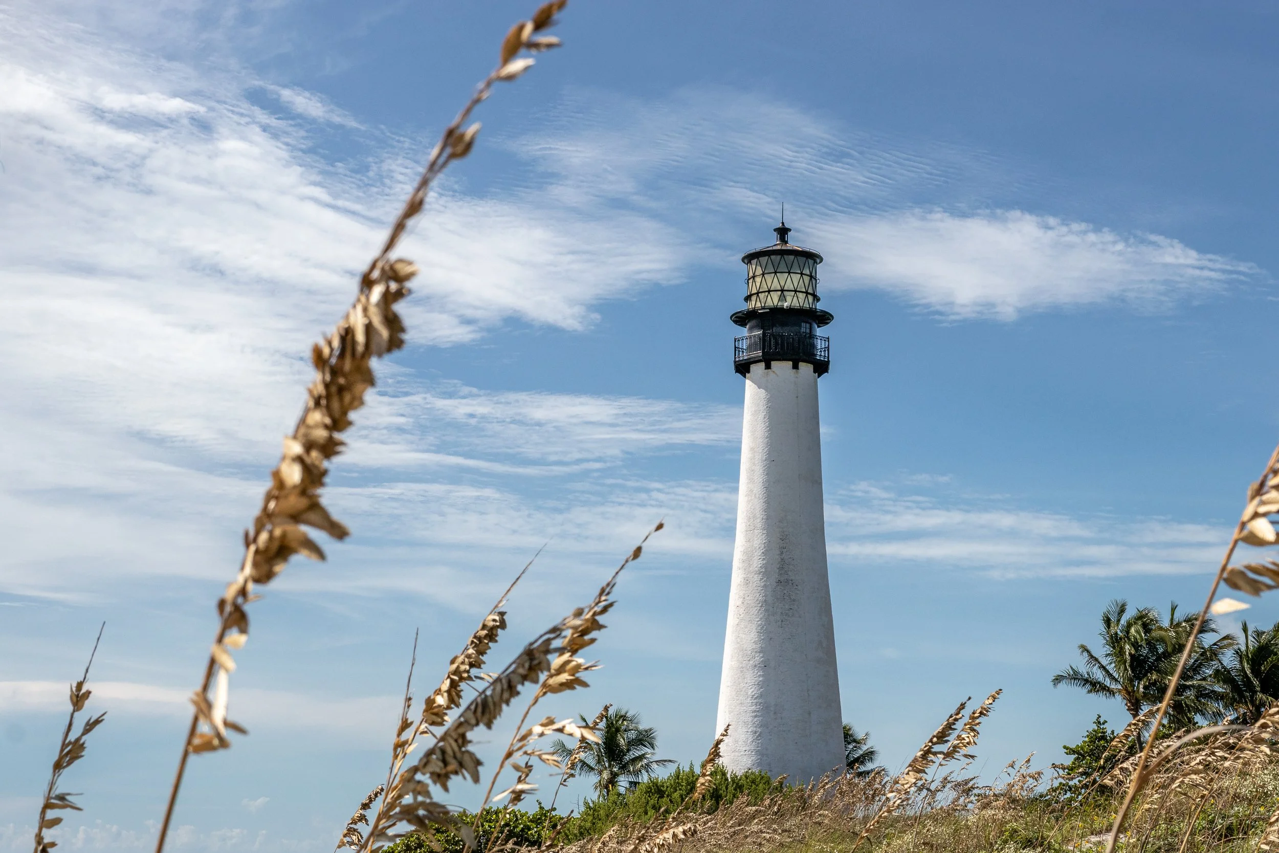 A lighthouse standing tall against a bright blue sky with wispy clouds, framed by dried grass in the foreground and palm trees at the bottom.
