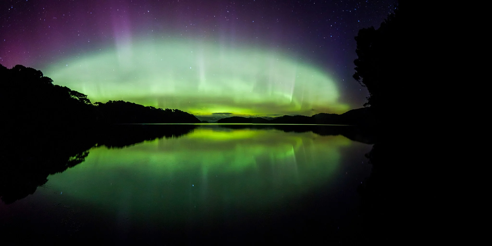 Northern Lights over a calm body of water at night with silhouetted trees on the horizon.