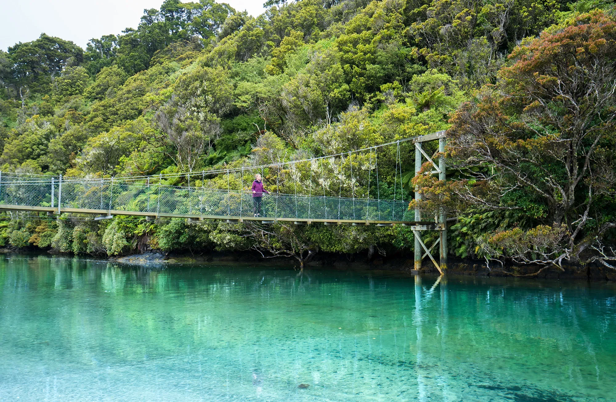 A person walking on a suspension bridge over turquoise water, surrounded by dense green forest on a cloudy day.