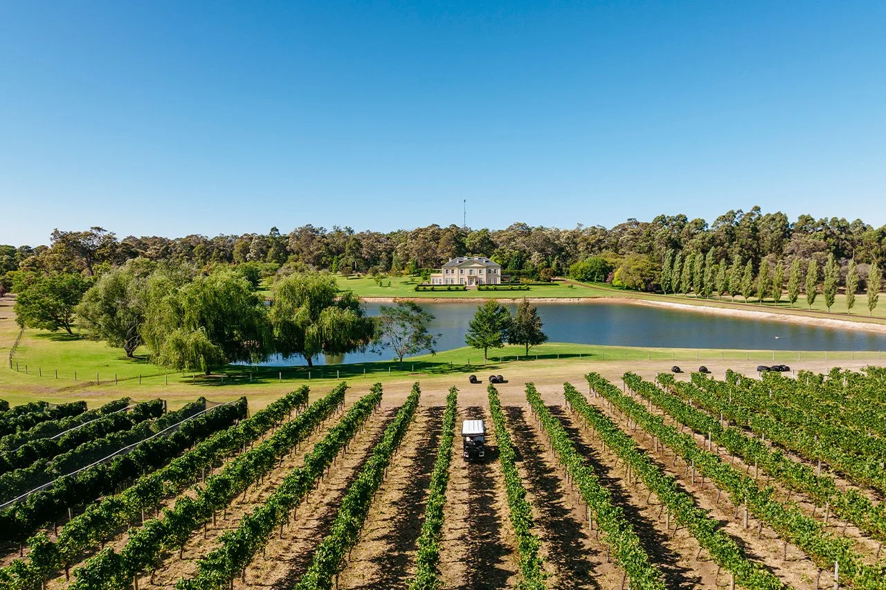 Vineyard rows leading to a lake with a large house in the background under a clear blue sky.