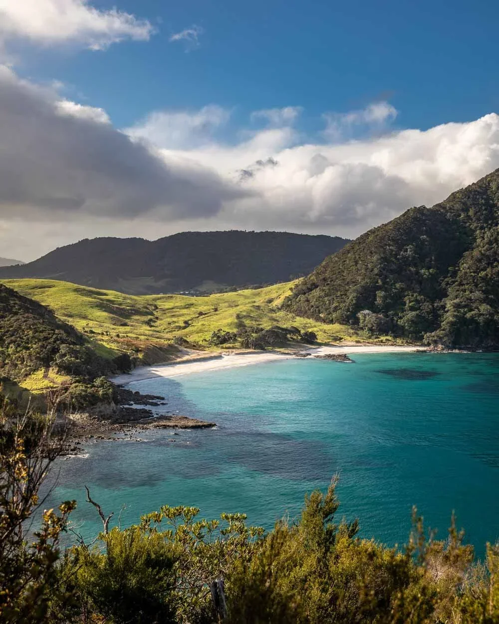 Amazing+things+to+do+in+Whangarei.webp
