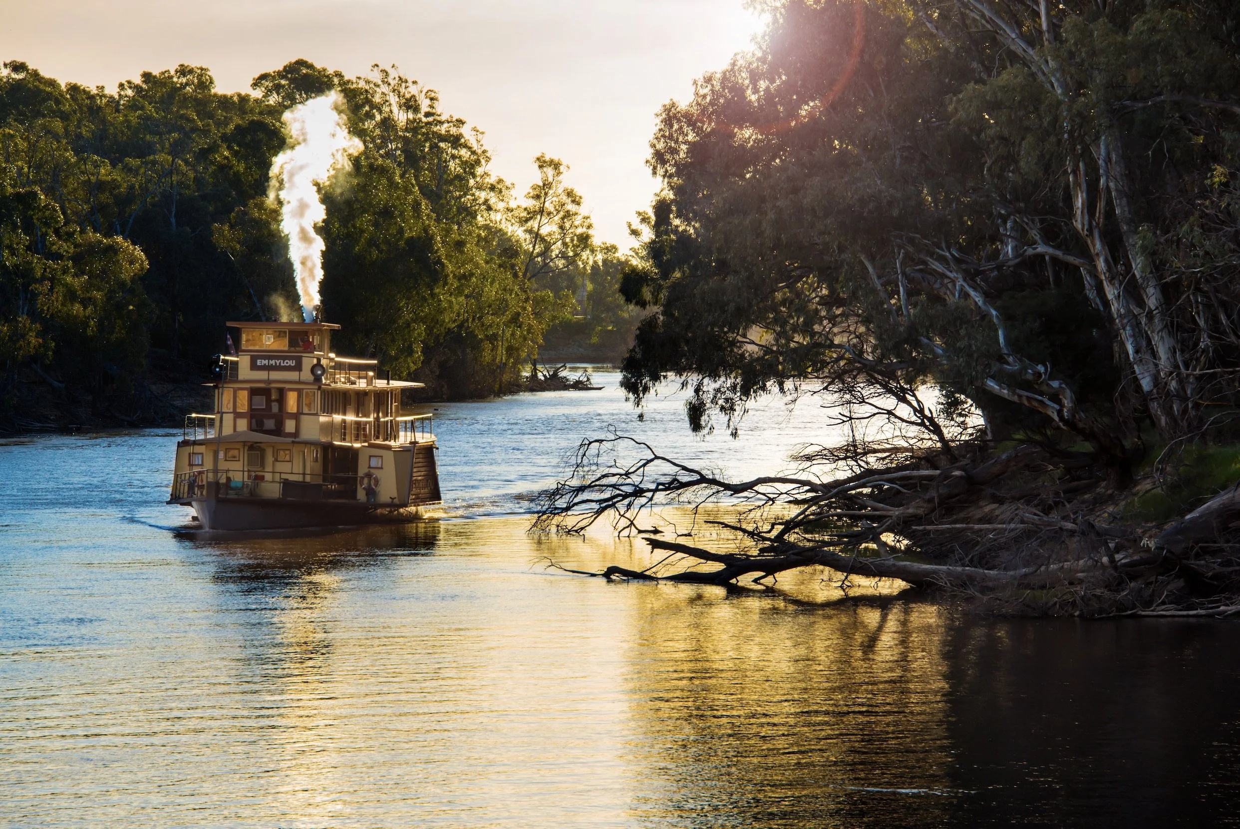 A river with a steamboat named EMILY LOU passing through a lush, green forest with sunlight shining through the trees.