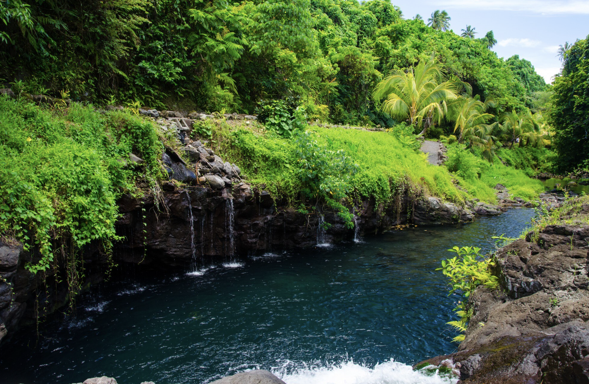 A lush tropical landscape with dense green trees and bushes, a small waterfall flowing into a dark river, and a winding path along the riverbank.