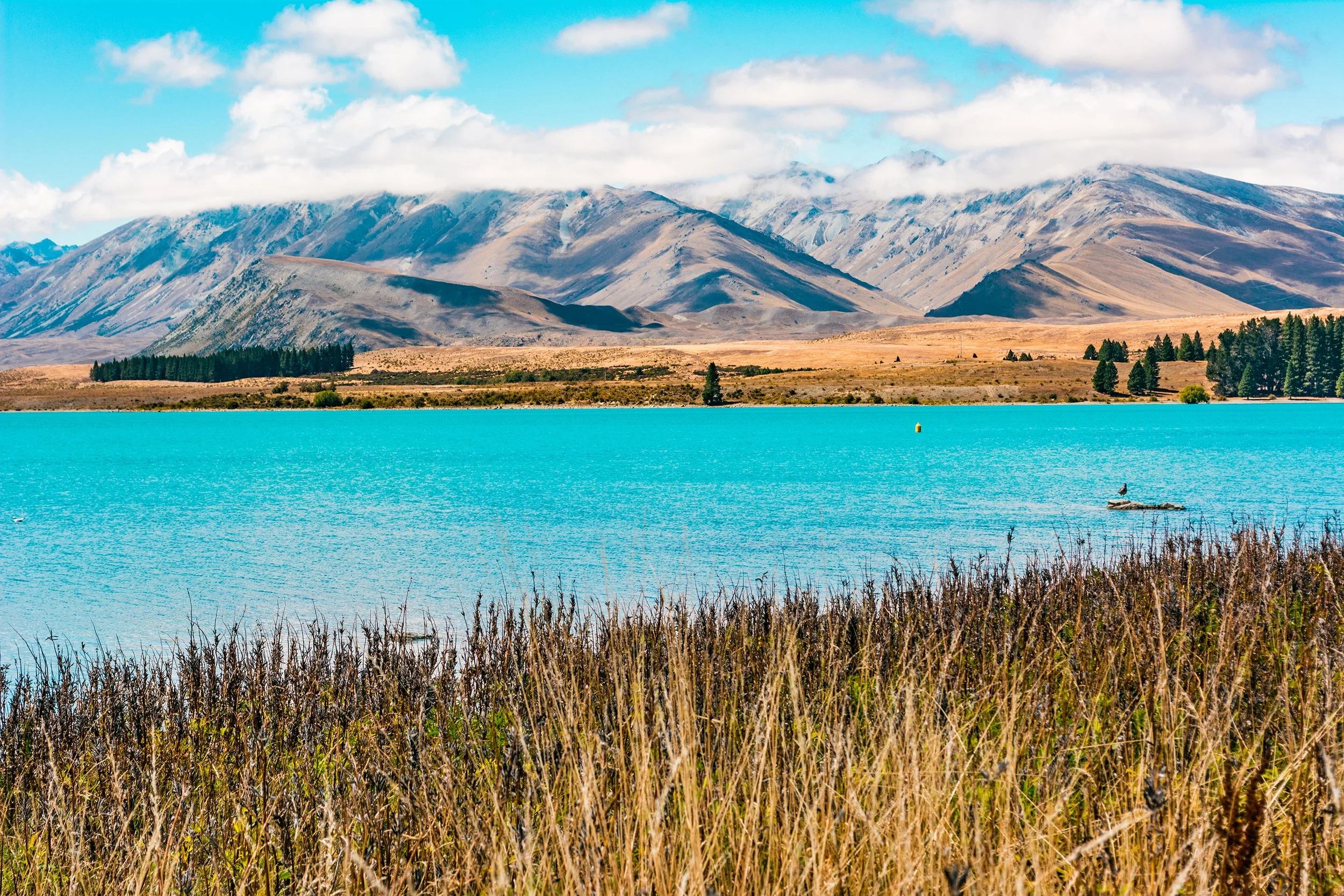 lake-tekapo-new-zealand.jpg