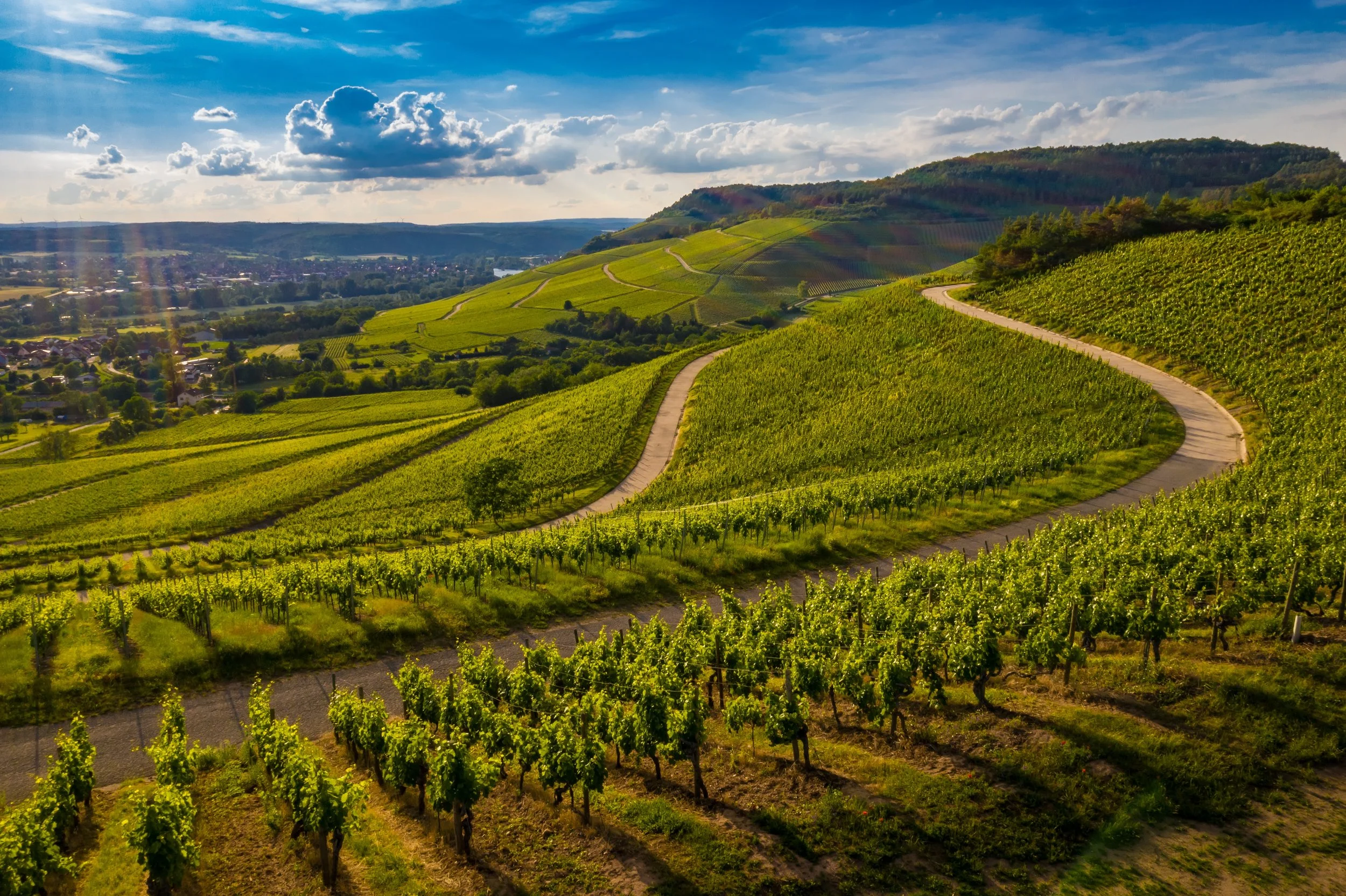 beautiful-view-vineyard-green-hills-sunset.jpg