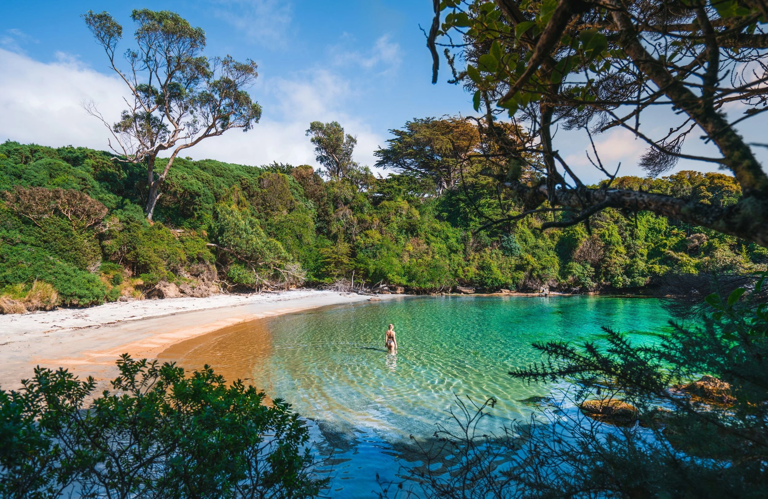A person standing in clear, greenish water on a sandy beach with lush green trees and a blue sky in the background.