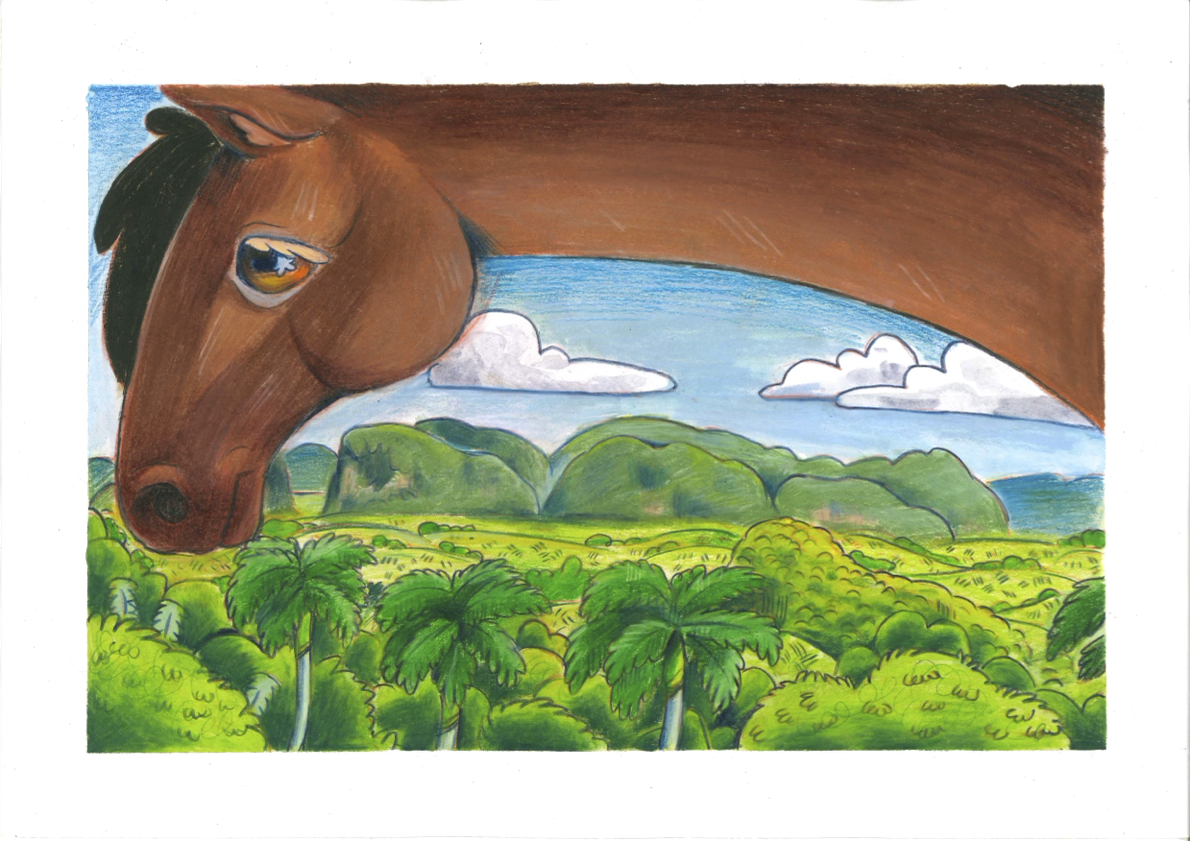 paard.png