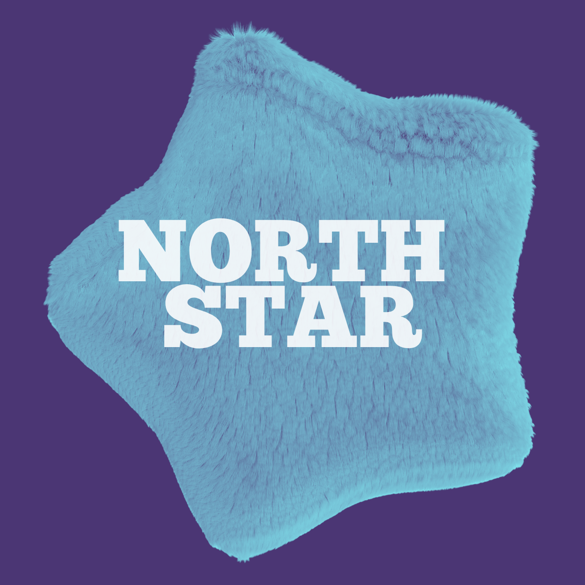 Fuzzy Goals - North Star