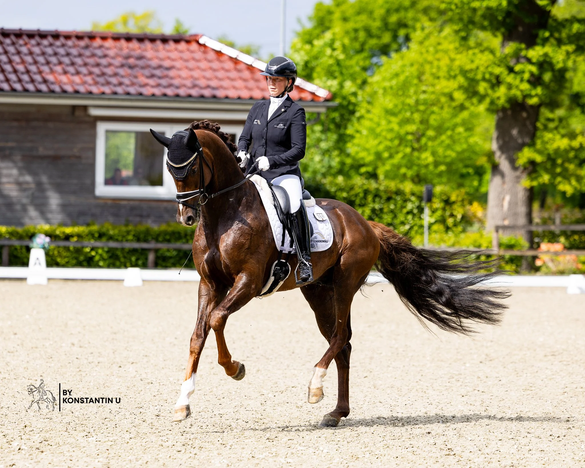 Reiter in formeller Reitkleidung reitet auf einem braunen Pferd auf einem Reitplatz mit Sandboden, umgeben von grünen Bäumen, im Hintergrund ein Holzgebäude mit rotem Ziegeldach.