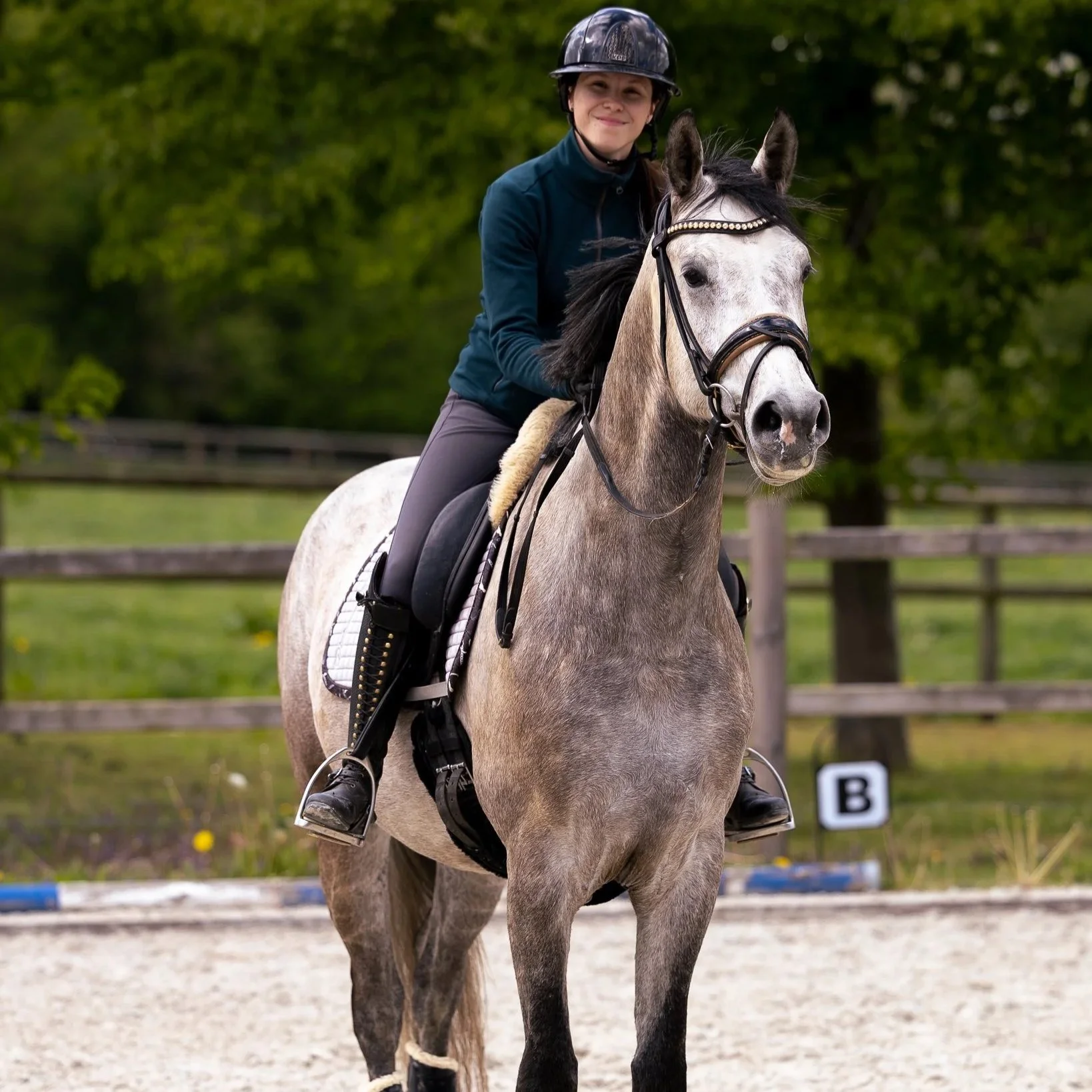 Junge Reiterin auf grauem Pferd beim Reittraining, trägt Helm, in einer Reithalle mit Springzubehör