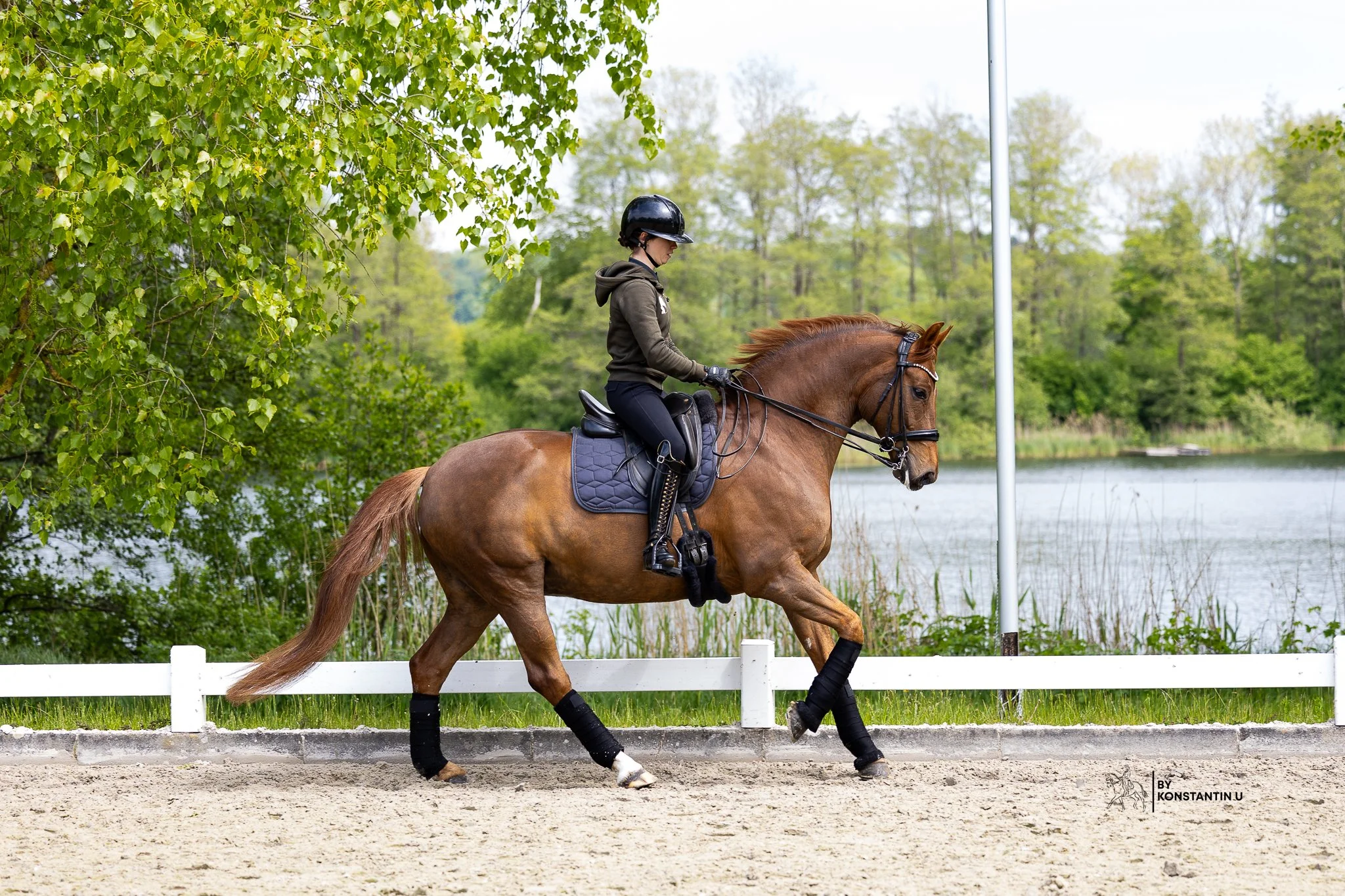 Eine Person reitet auf einem braunen Pferd in einer Reithalle, umgeben von grünen Bäumen.