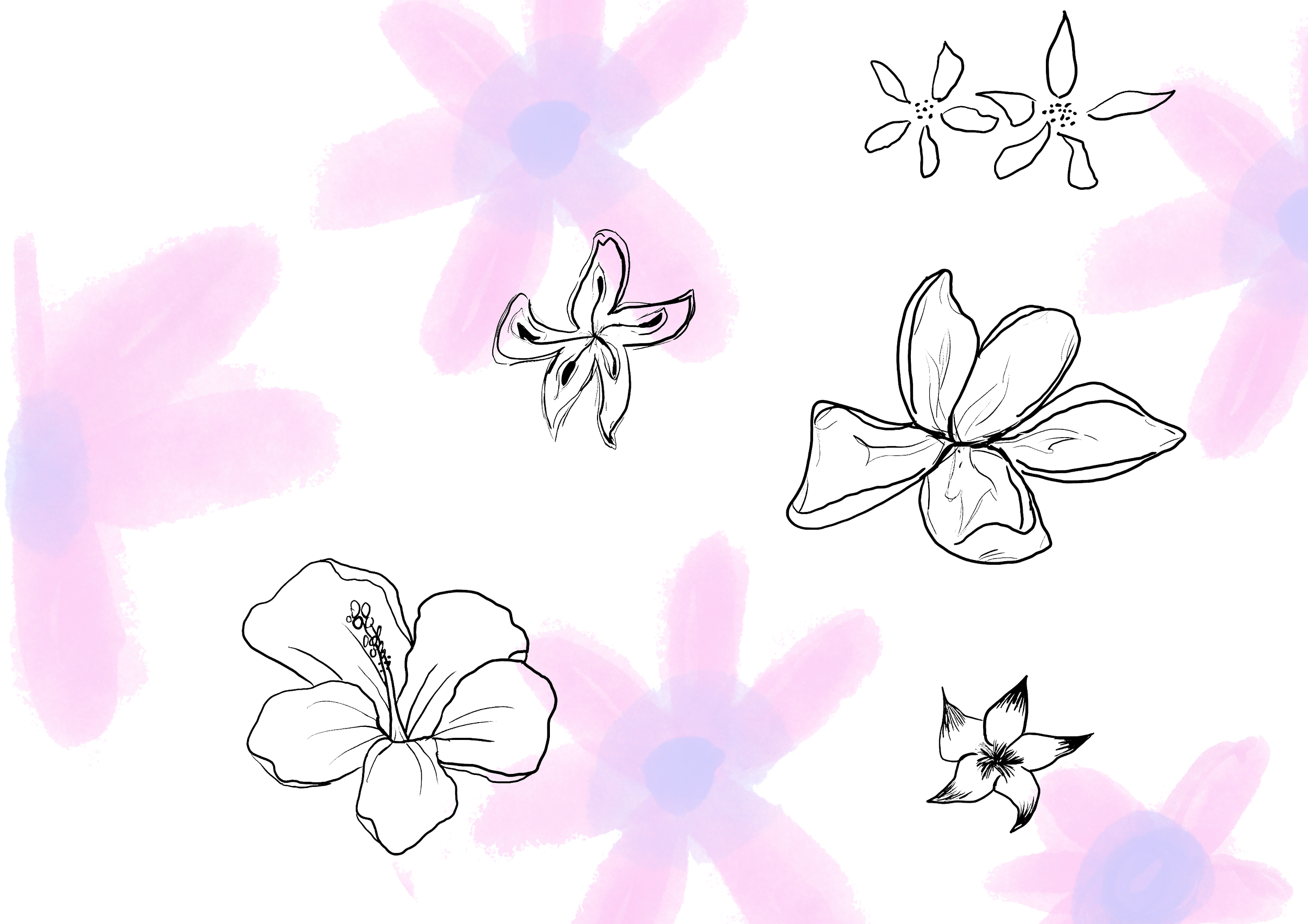 Skizzierte Blumen in schwarz auf einem pastellfarbenen Hintergrund mit rosa und blauen Wasserfarbenflecken.