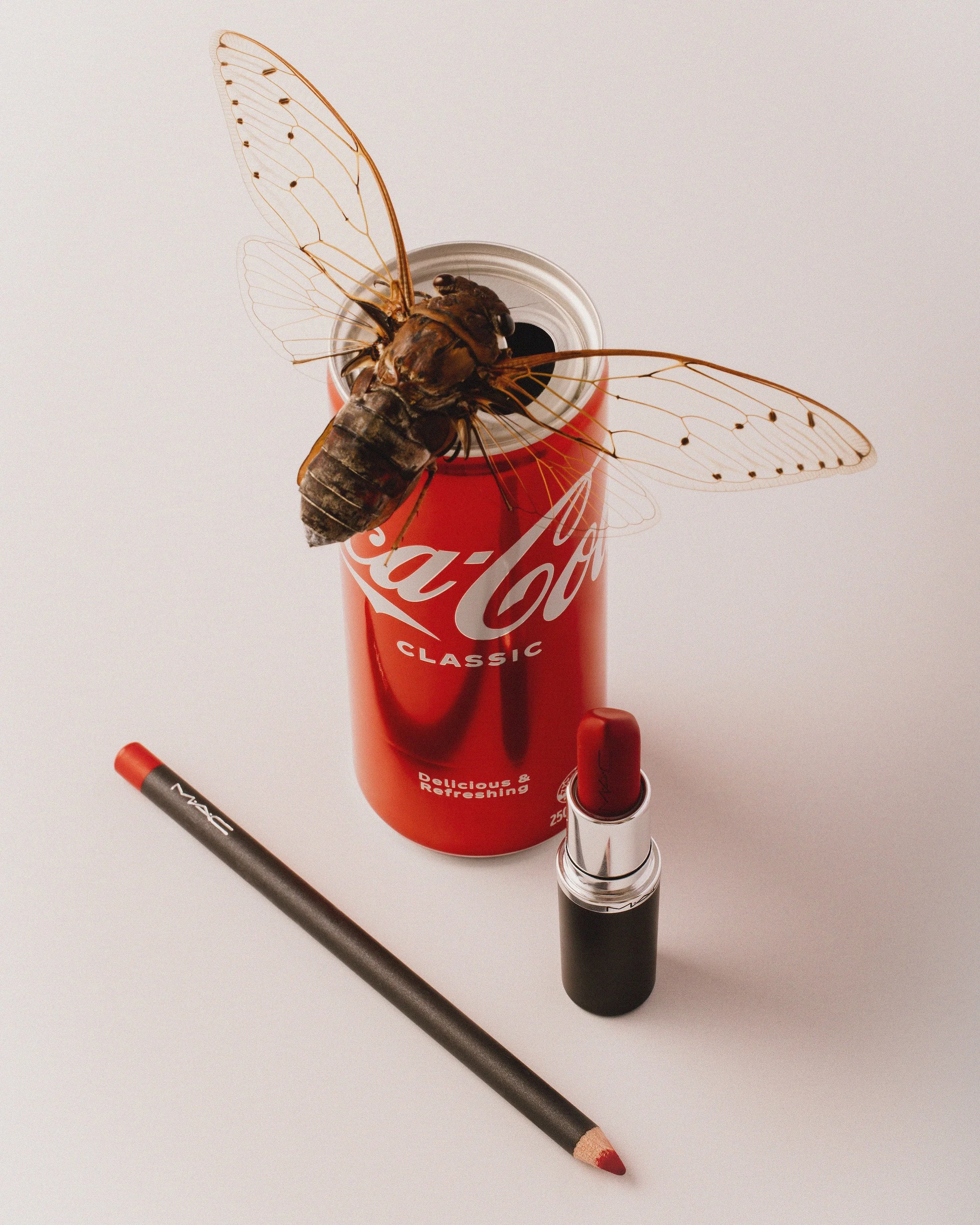 A can of Coca-Cola with a toy dragonfly perched on top, a Mac lip gloss tube, and a brown pencil with a red tip on a white background.