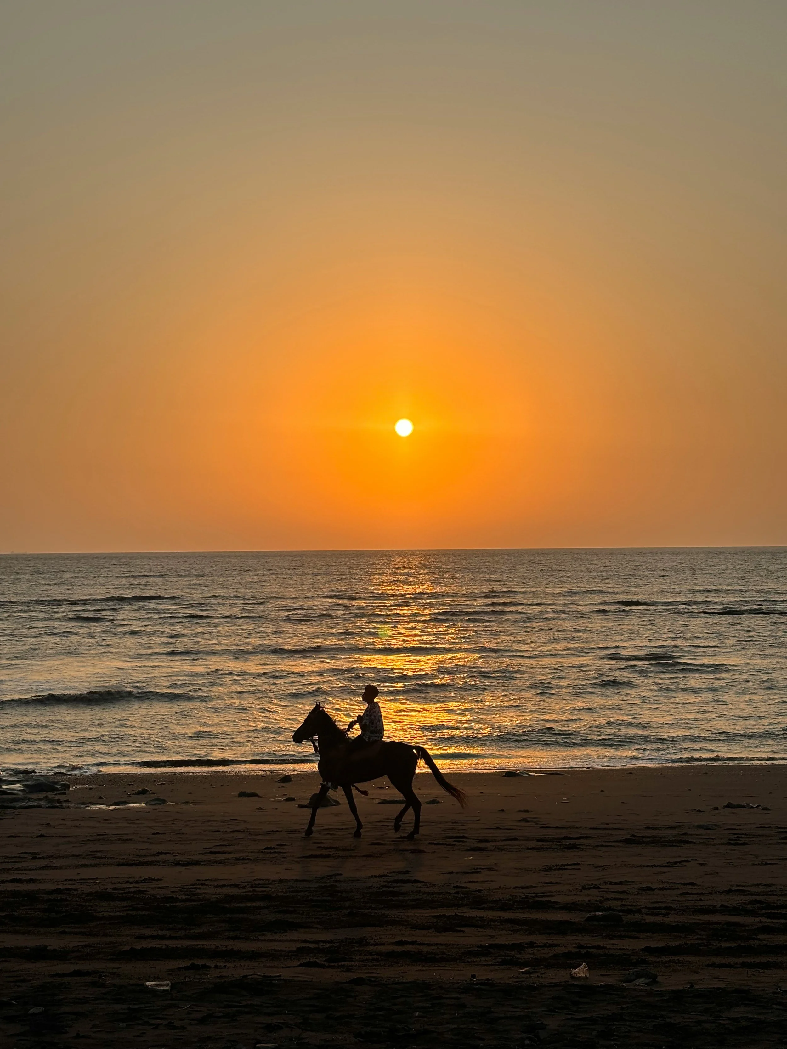 3-DAY HORSEBACK TREK ( 6-7-8 September )