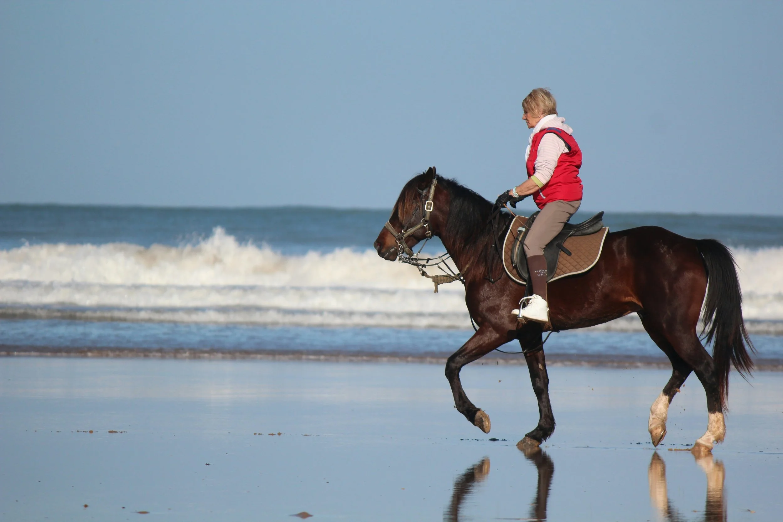 3 Days / 2 Night Horseback Trek – Tamri Experience