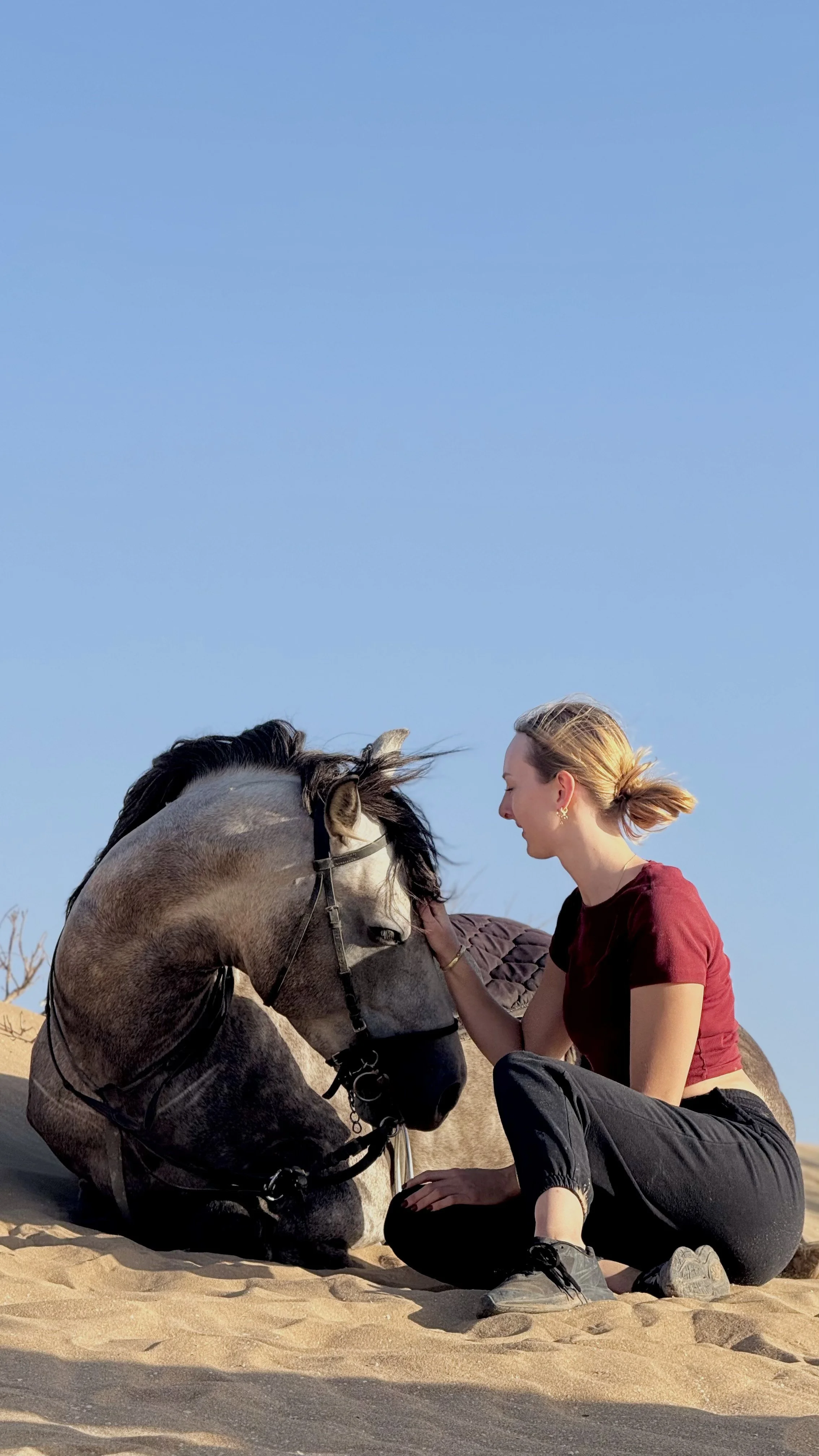 A woman with blonde hair wearing a burgundy shirt and black pants sitting on sandy terrain, petting a gray horse with a black mane under a clear blue sky.