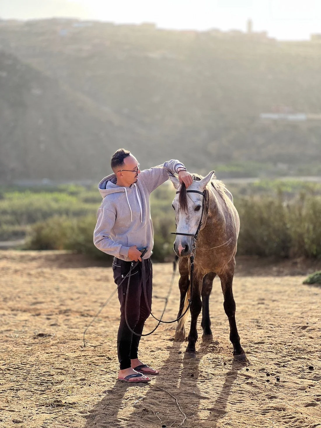A man in a gray hoodie and black pants stands outside on sandy ground, gently touching the head of a white and gray horse with a black bridle. The man is holding the horse's lead rope in his left hand. The background shows green bushes and a hilly landscape under a light sky, suggesting early morning or late afternoon.