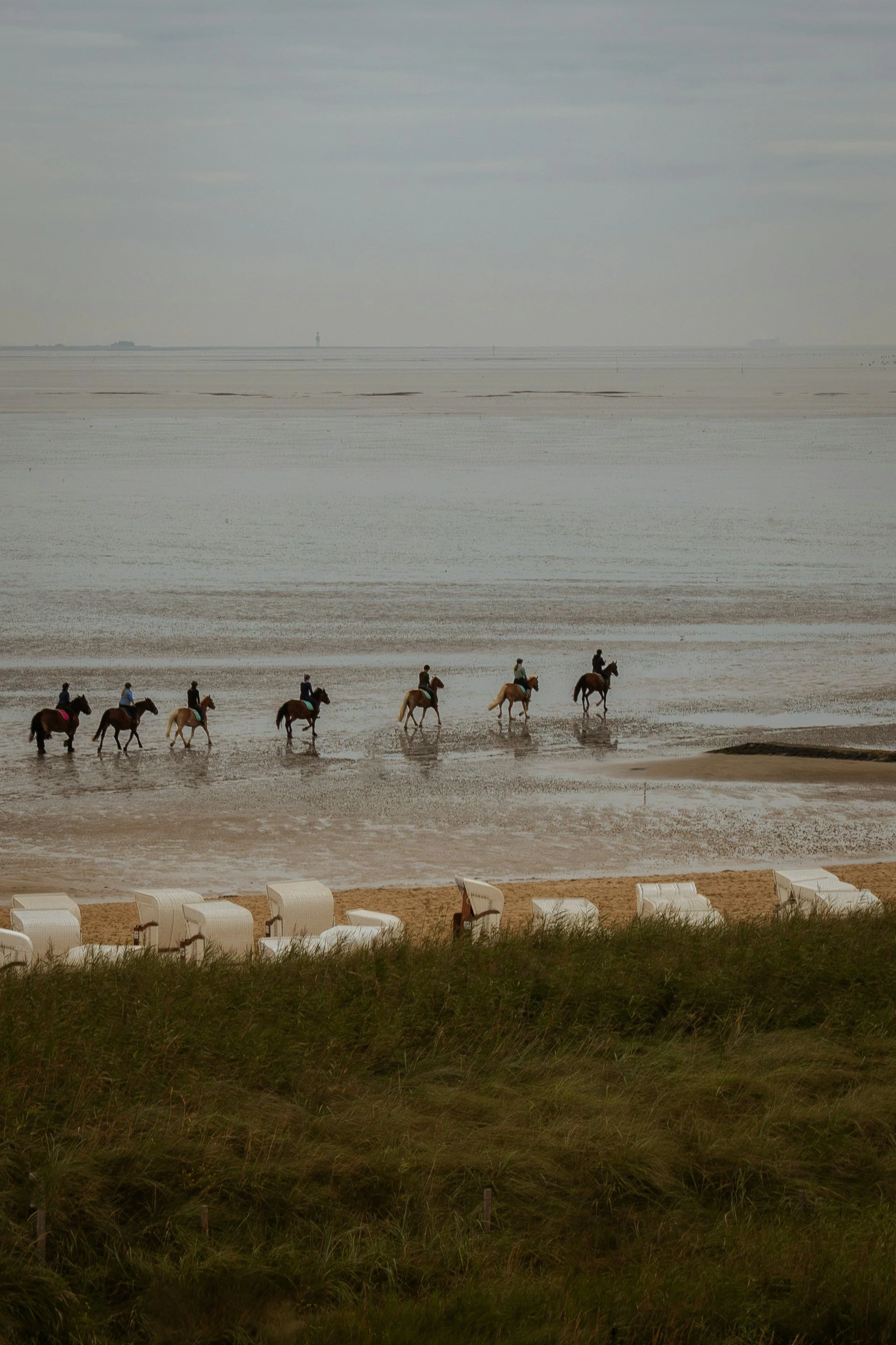 2 Days / 1 Night Horseback Trek – Tamri Experience