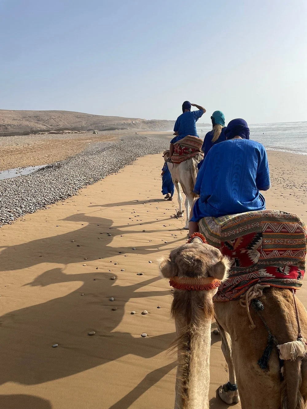 1 Hour Camel Ride Experience