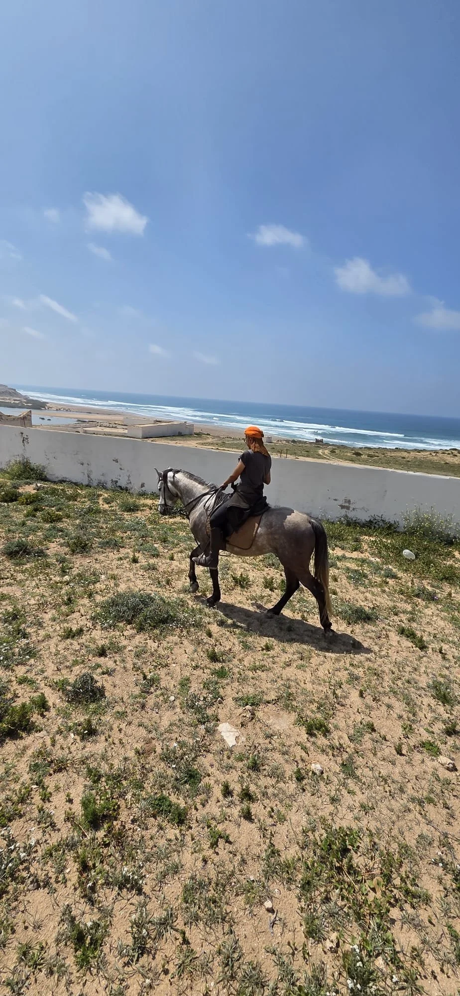 Person riding a gray horse along a sandy, grassy area overlooking the ocean, with a clear blue sky and scattered clouds in the background.