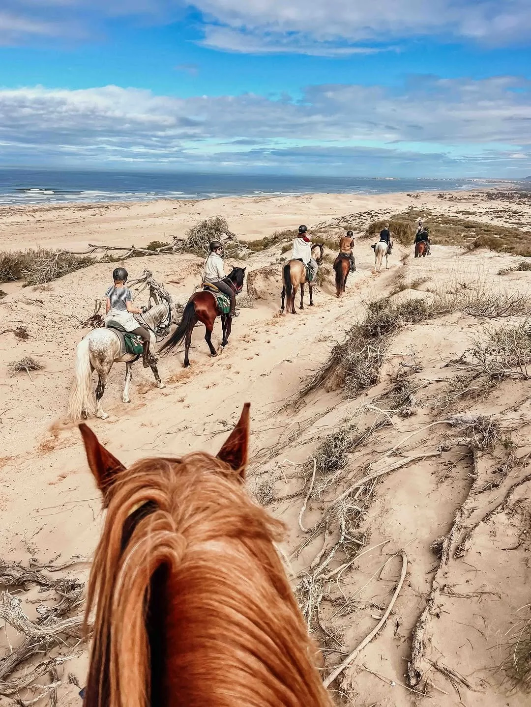essaouira-horse-riding-5.jpg