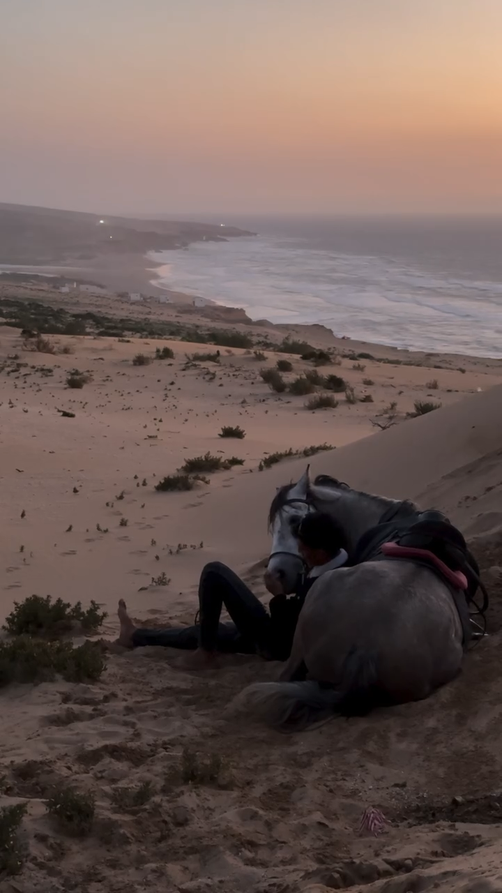 Intimate Ground Portraits with a Resting Horse