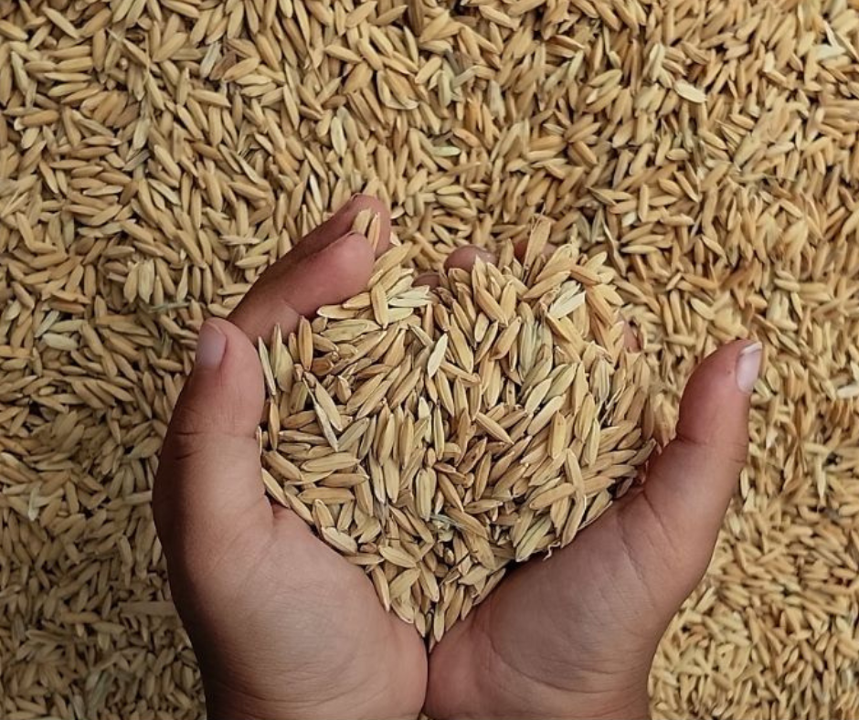 Farm Weekly | Grain Marketing and the Tax Effect