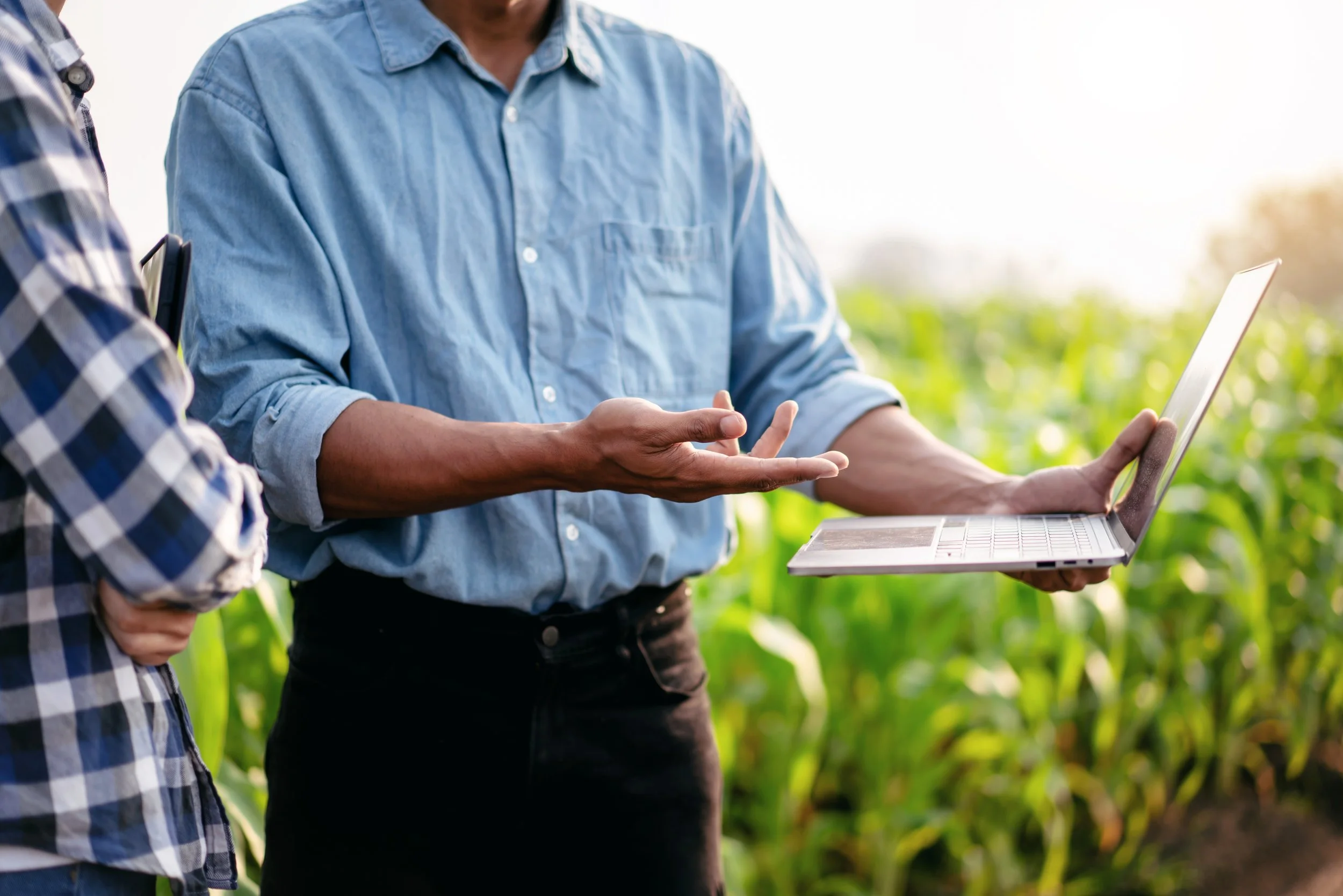 Farm Weekly | The ATO, AML and AI all walk into a farm… and no one’s laughing!