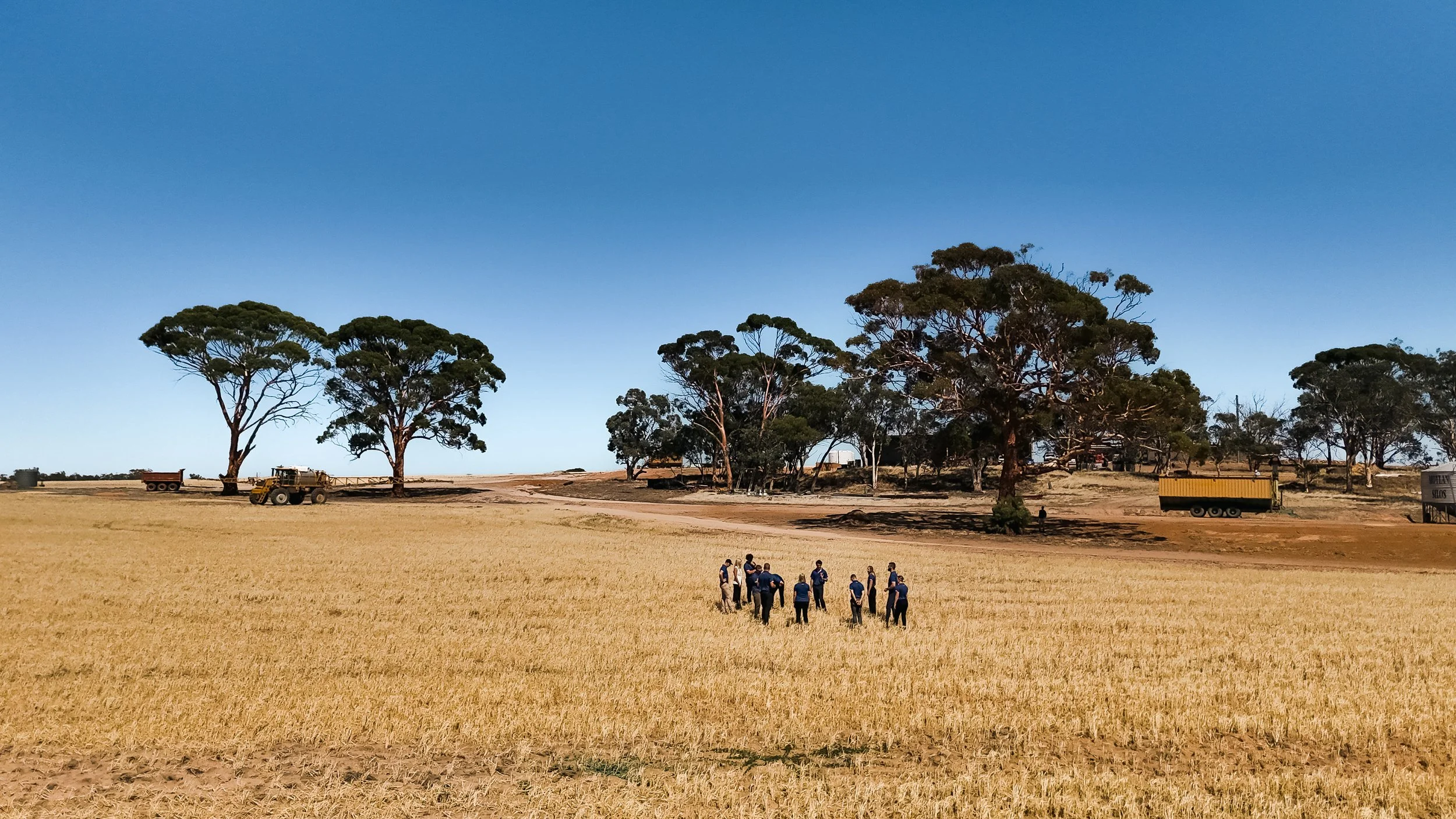 Aerial view of a group standing in a wheat paddock lined with gum trees