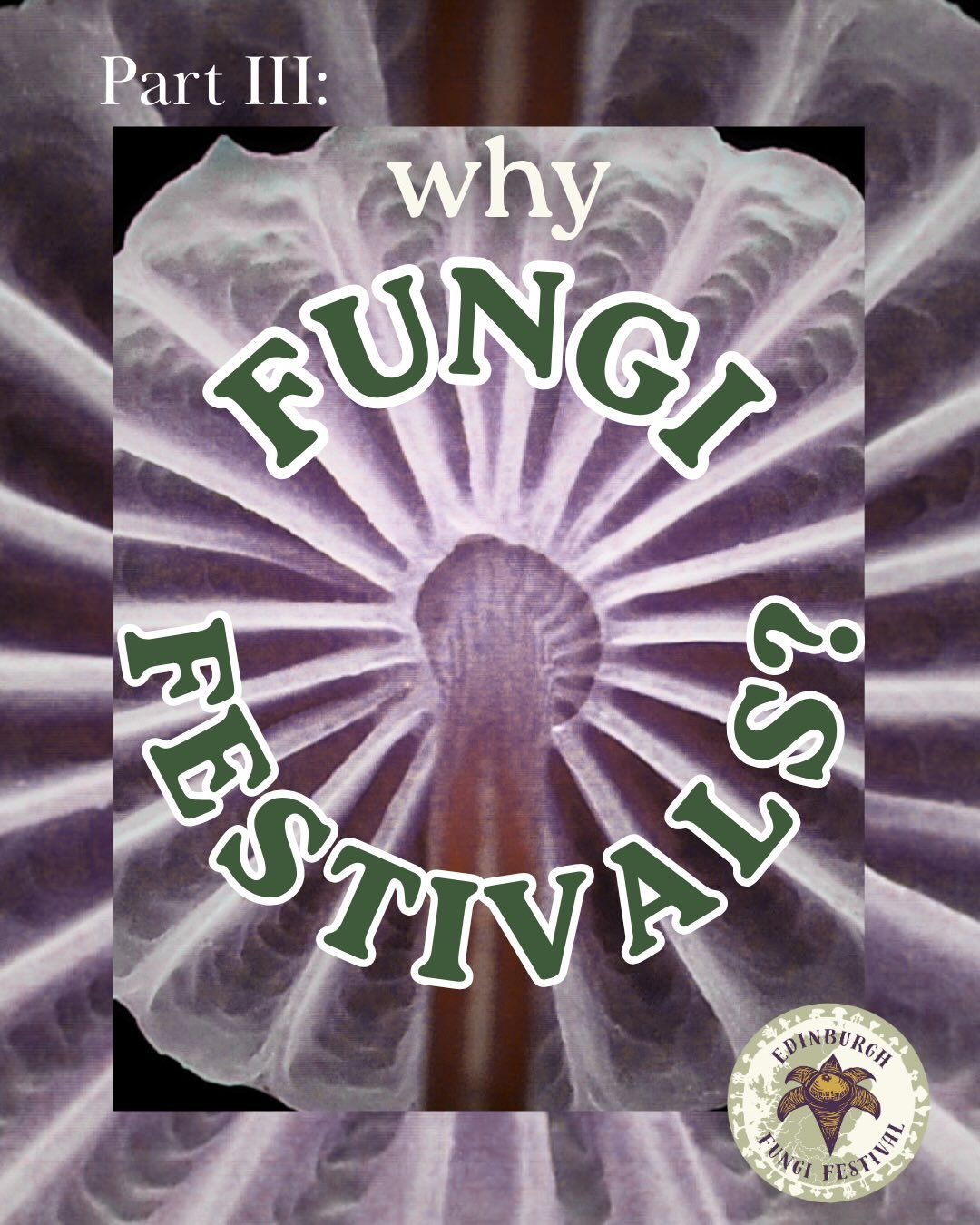 Why a fungi festival?? Part III of our Why Fungi series talks about the history behind the modern fungi festival, which you can learn more about by reading our first newsletter - found under the &ldquo;Further Resources&rdquo; tab on our website (lin