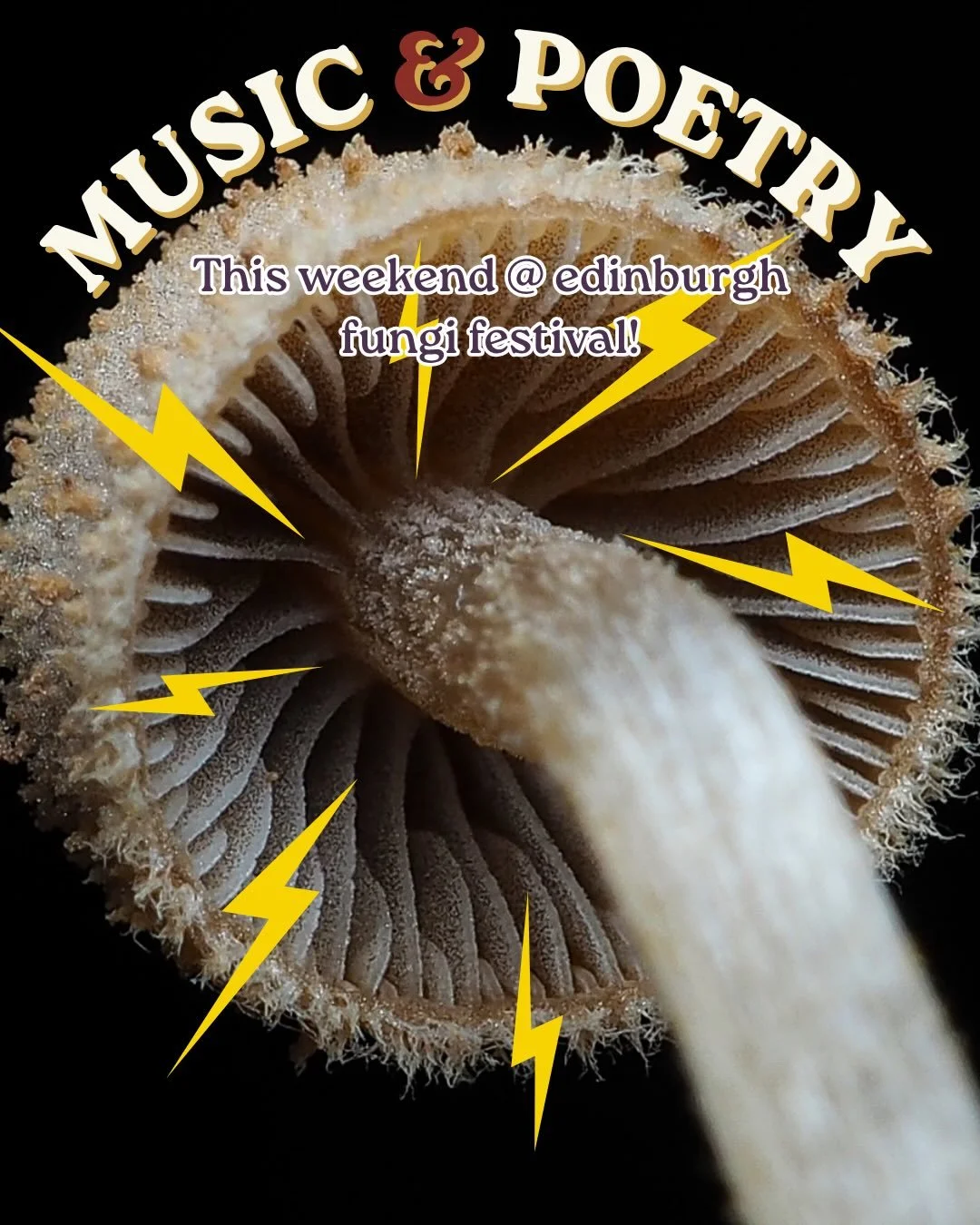 A recent but utterly necessary development in the Edinburgh Fungi Festival plans has dropped: checkout the stacked lineup of djs, poets, and musicians!

On SATURDAY (3-6 pm):
@motionstateevents - an Edinburgh-based collective who craft a wide assortm