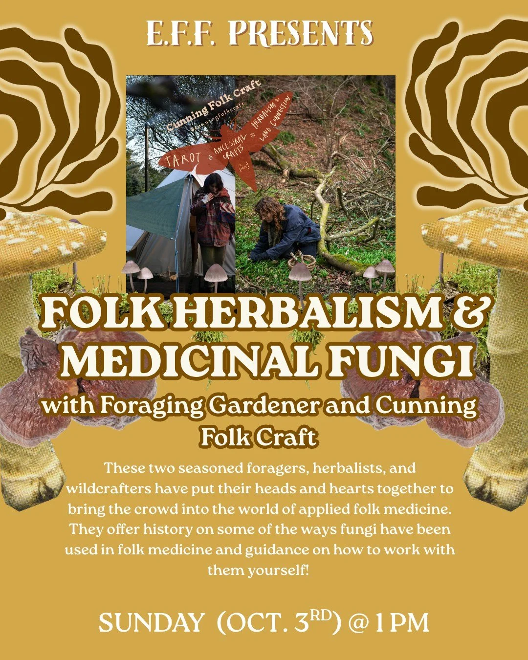 HAPPY FESTIVAL EVE!!

EFF presents our final workshop spotlight: Folk Herbalism &amp; Medicinal Fungi (Presentation) and Radical Mycology Zine-Making (Workshop)

Are you curious about the stories, remedies, and traditions which centre medicinal fungi