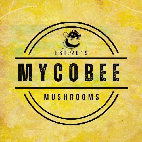 Mycobee Mushrooms fungi education Edinburgh group