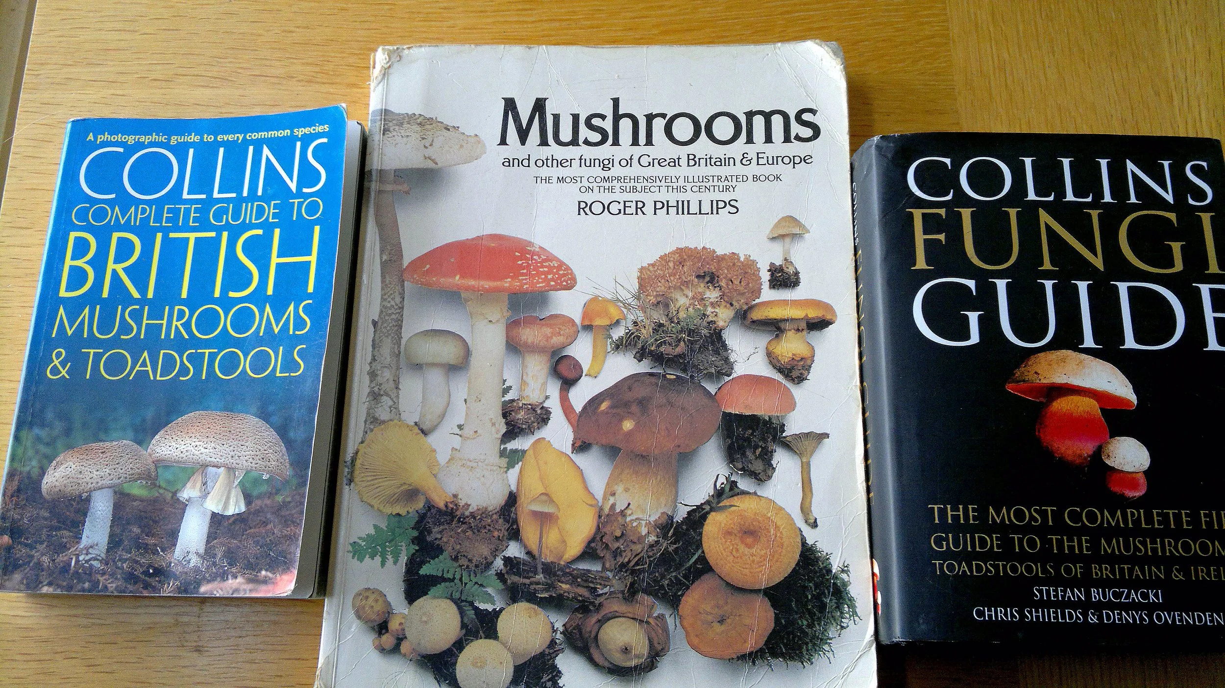 fungus identification guides, roger phillips, collins guide