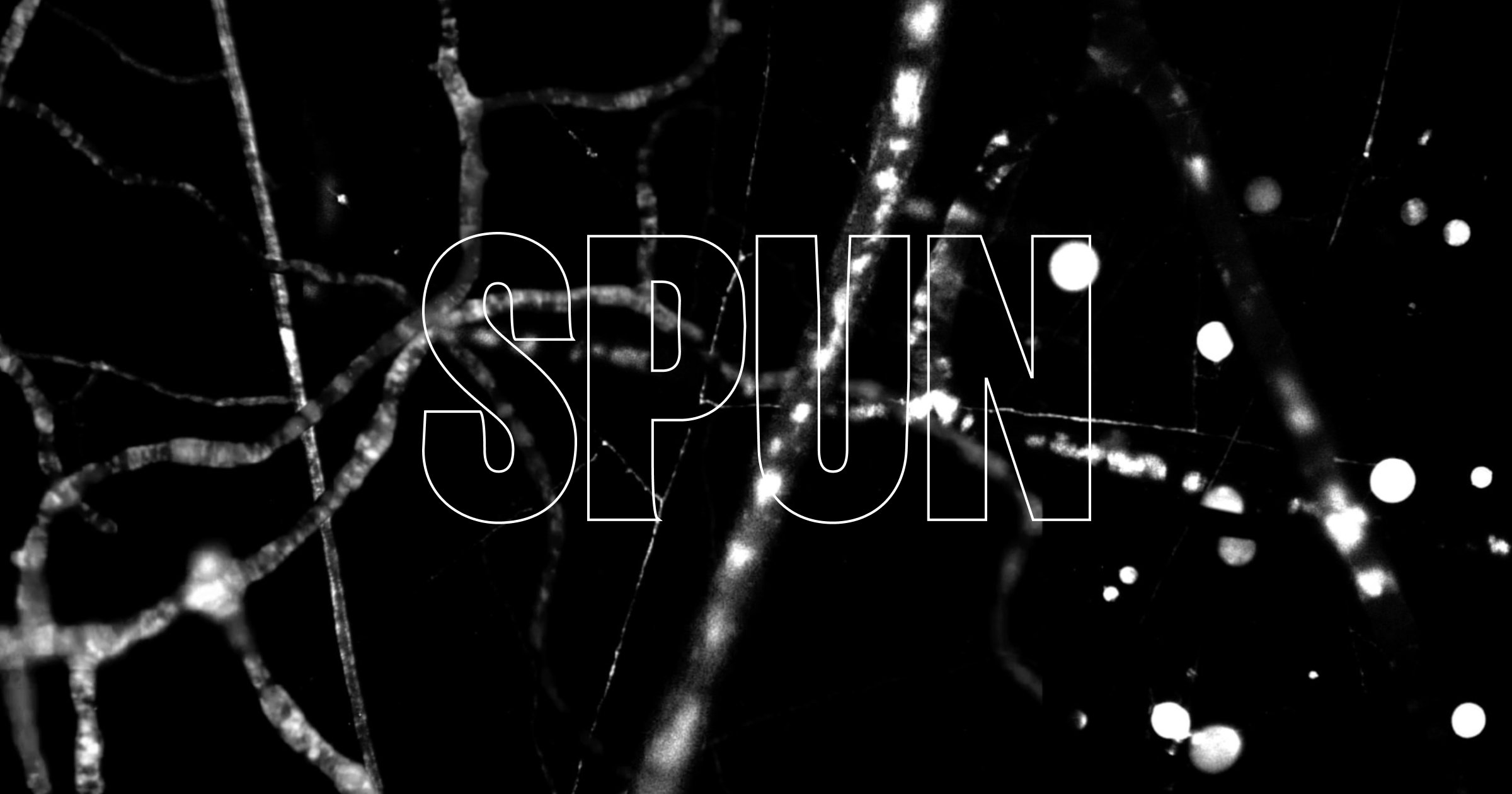 SPUN - Society for the Protection of Underground Networks