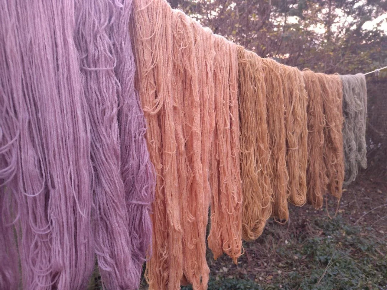 natural dyeing workshop, fungal dyed yarn, nature art