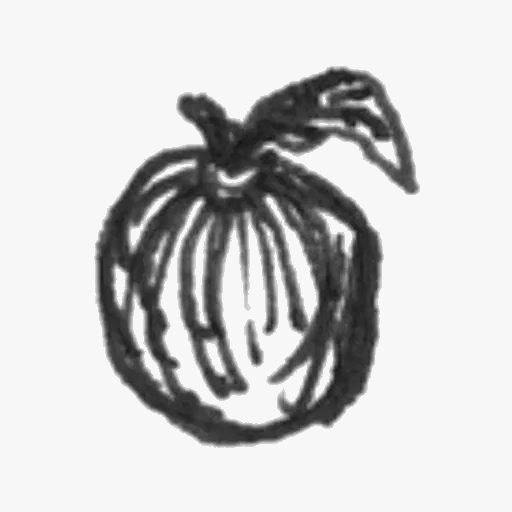 A sketch of a pumpkin with a leaf on top.