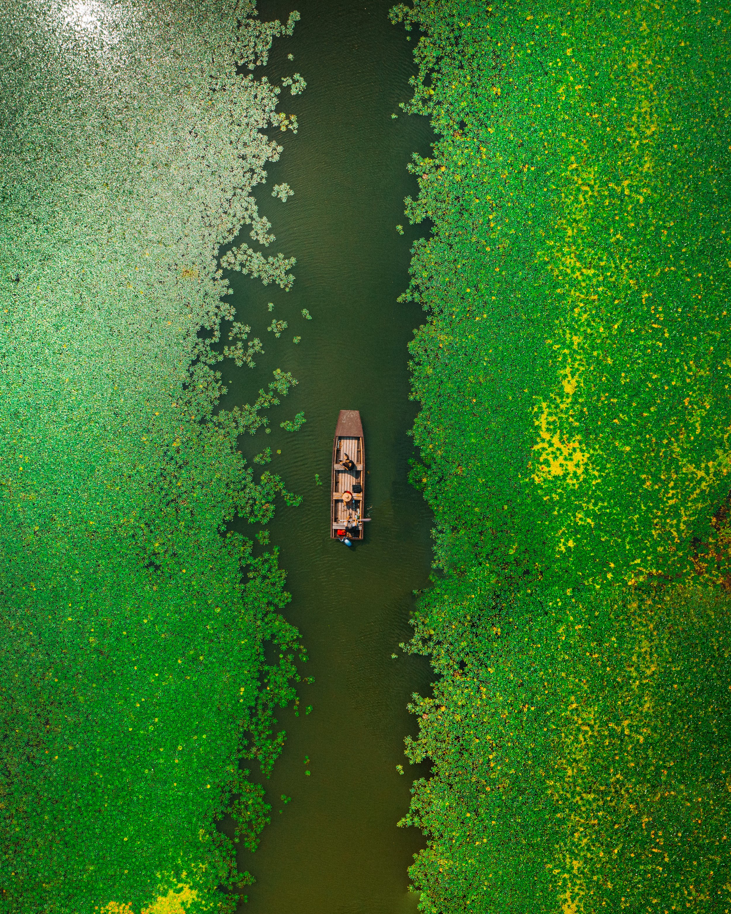 Tisza River_.jpg