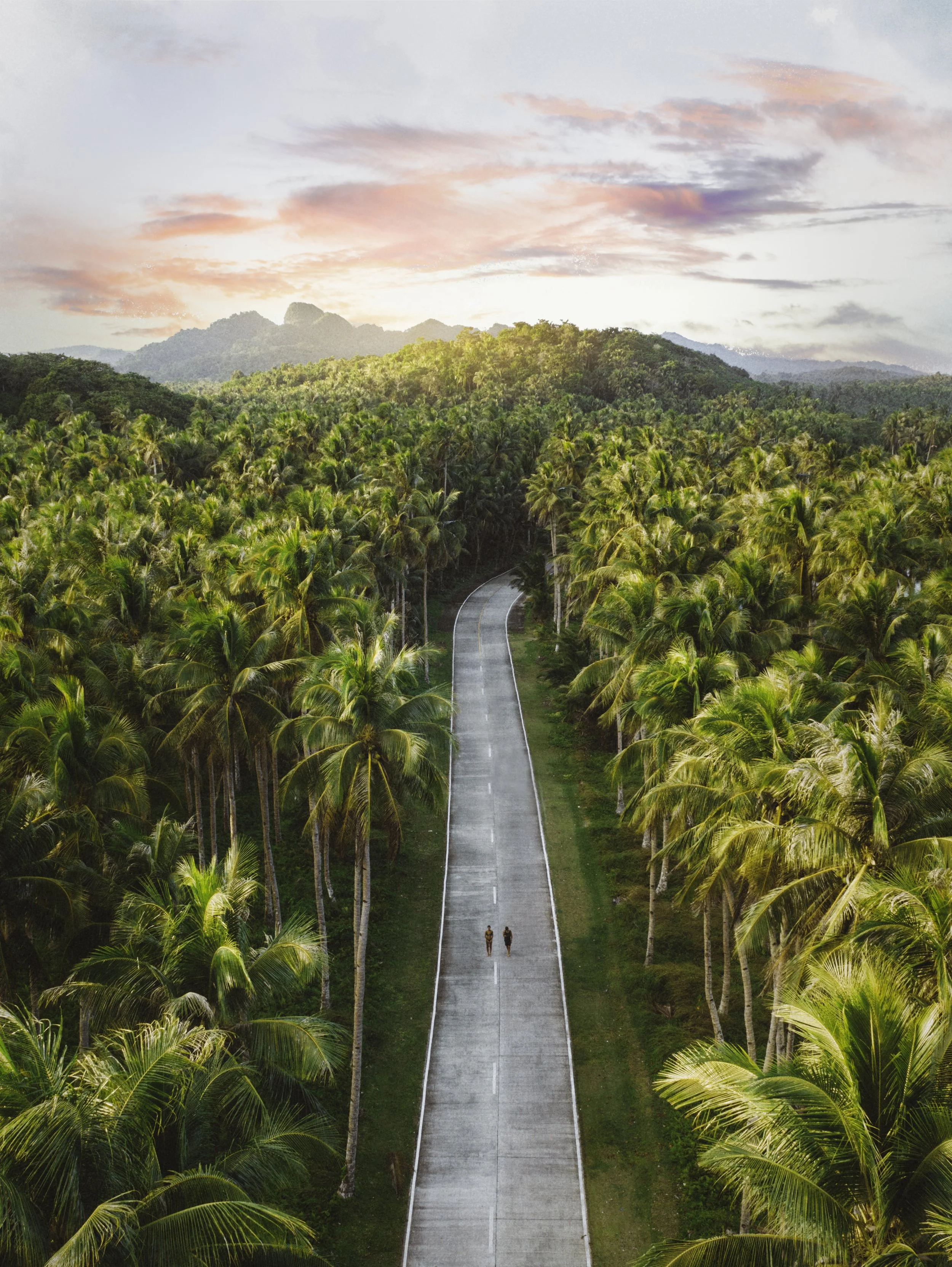 A long winding road through a tropical landscape with tall palm trees on both sides, leading toward distant mountains under a colorful sky at sunrise or sunset.