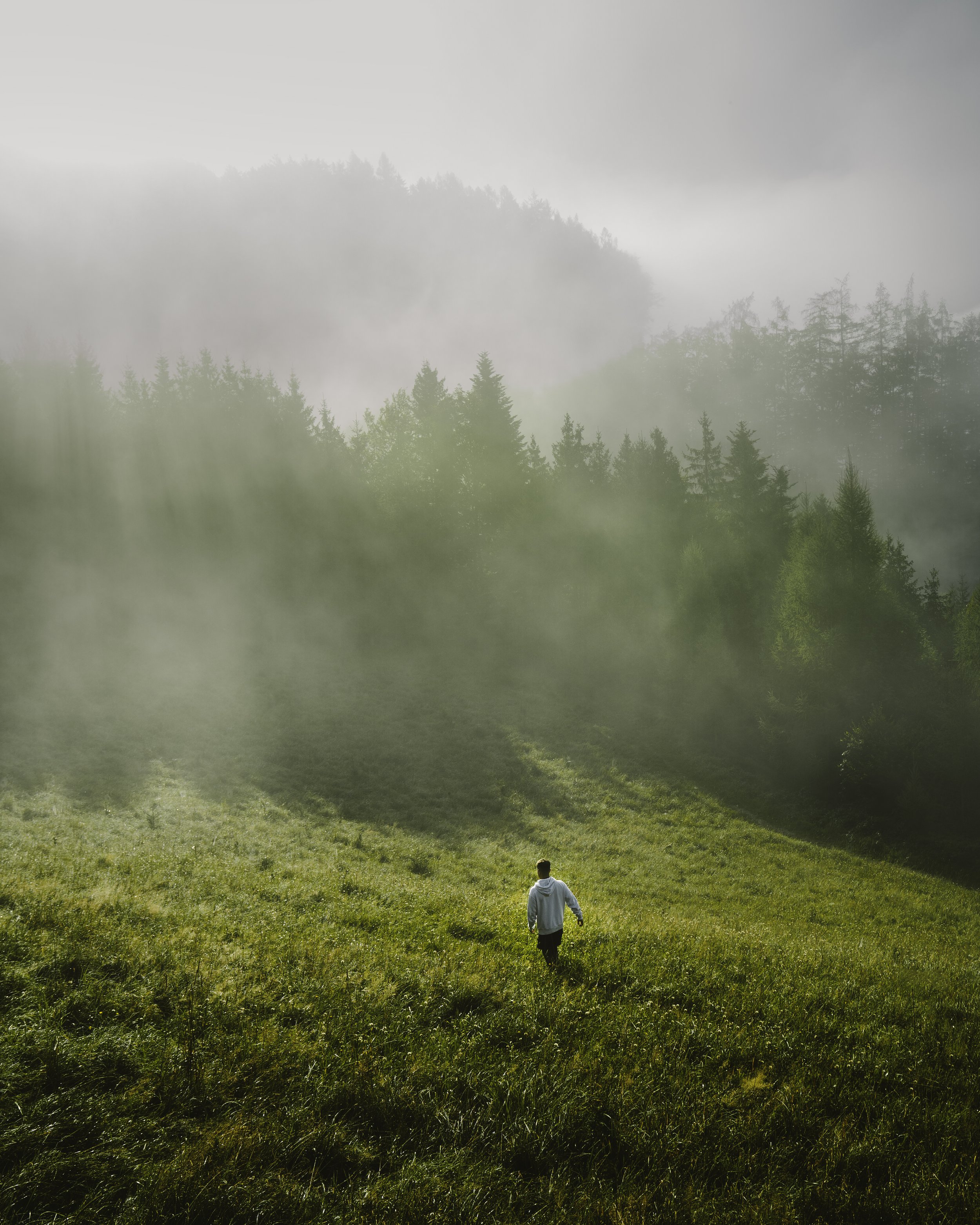 A person walking across a grassy field with trees and fog-covered mountains in the background.