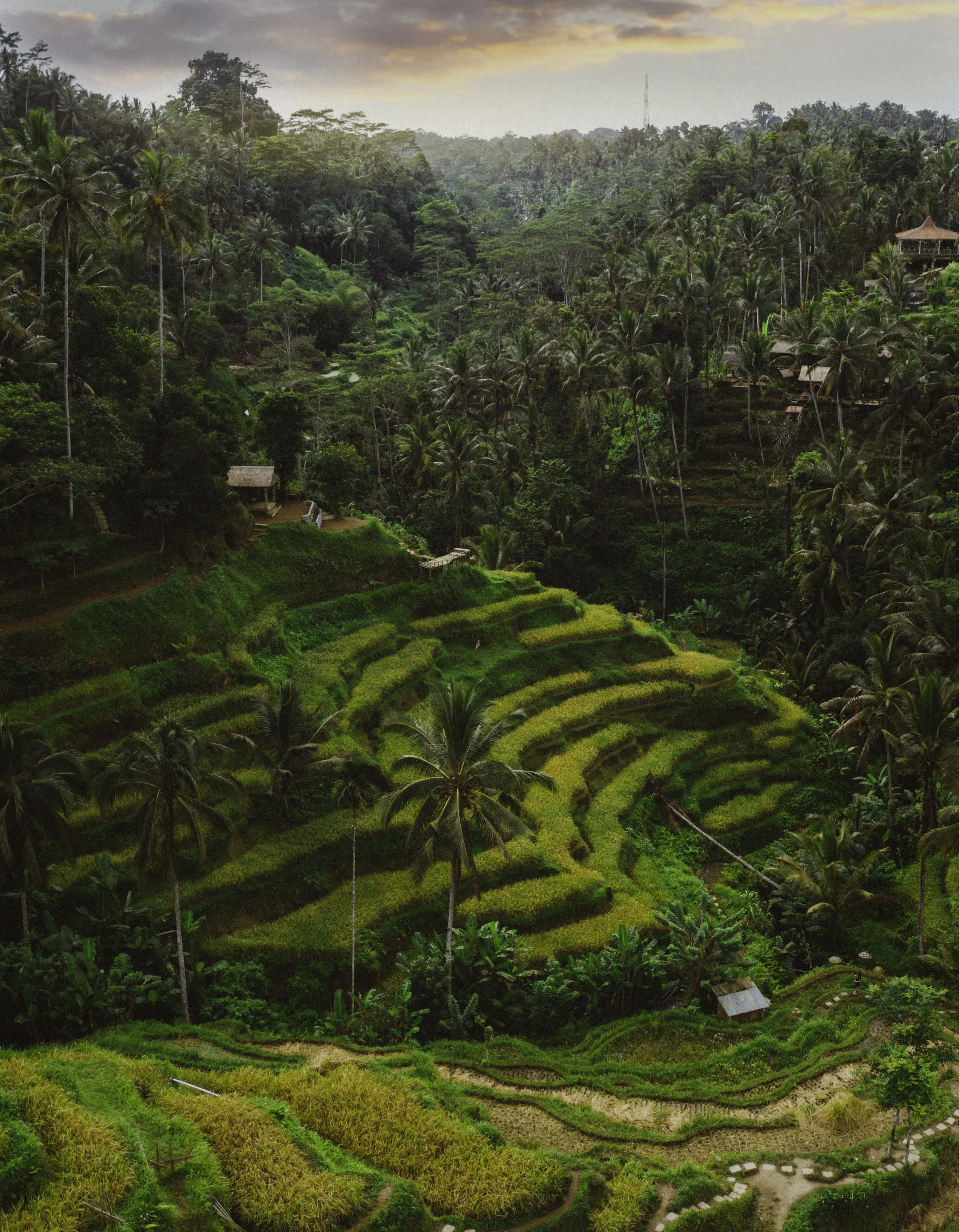 DJI_0143.jpg