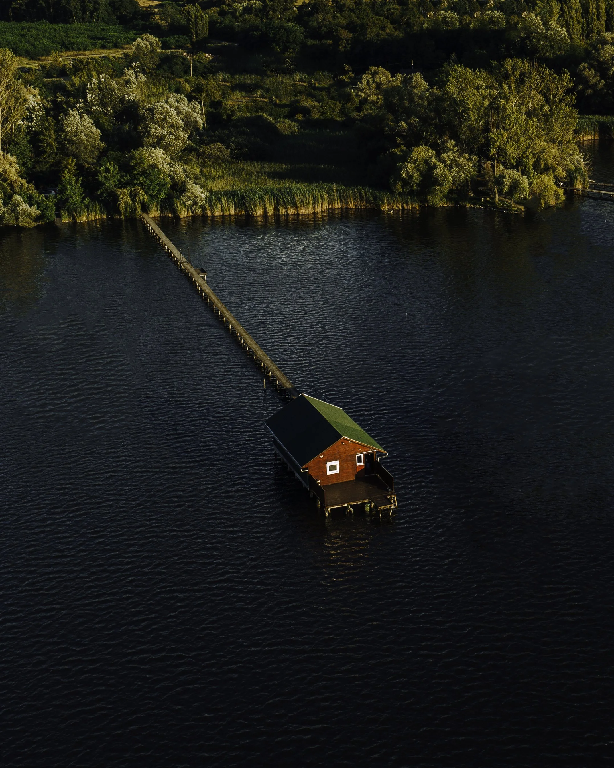 A house with a green roof and red walls is situated on a body of water, connected by a dock. The surrounding area is lush with dense green trees and vegetation, with a forested hillside in the background. The scene is captured in warm, golden lightin