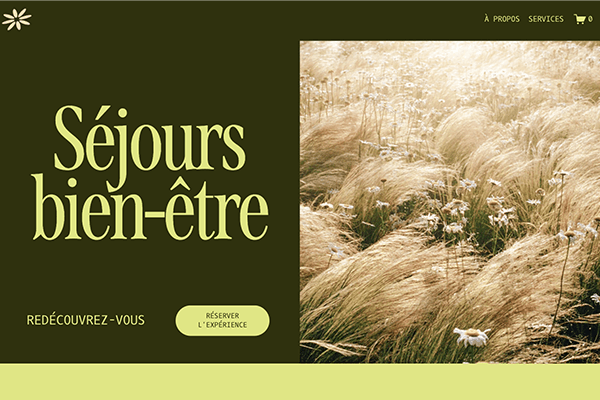capture d'ecran d'un site web en cours de création