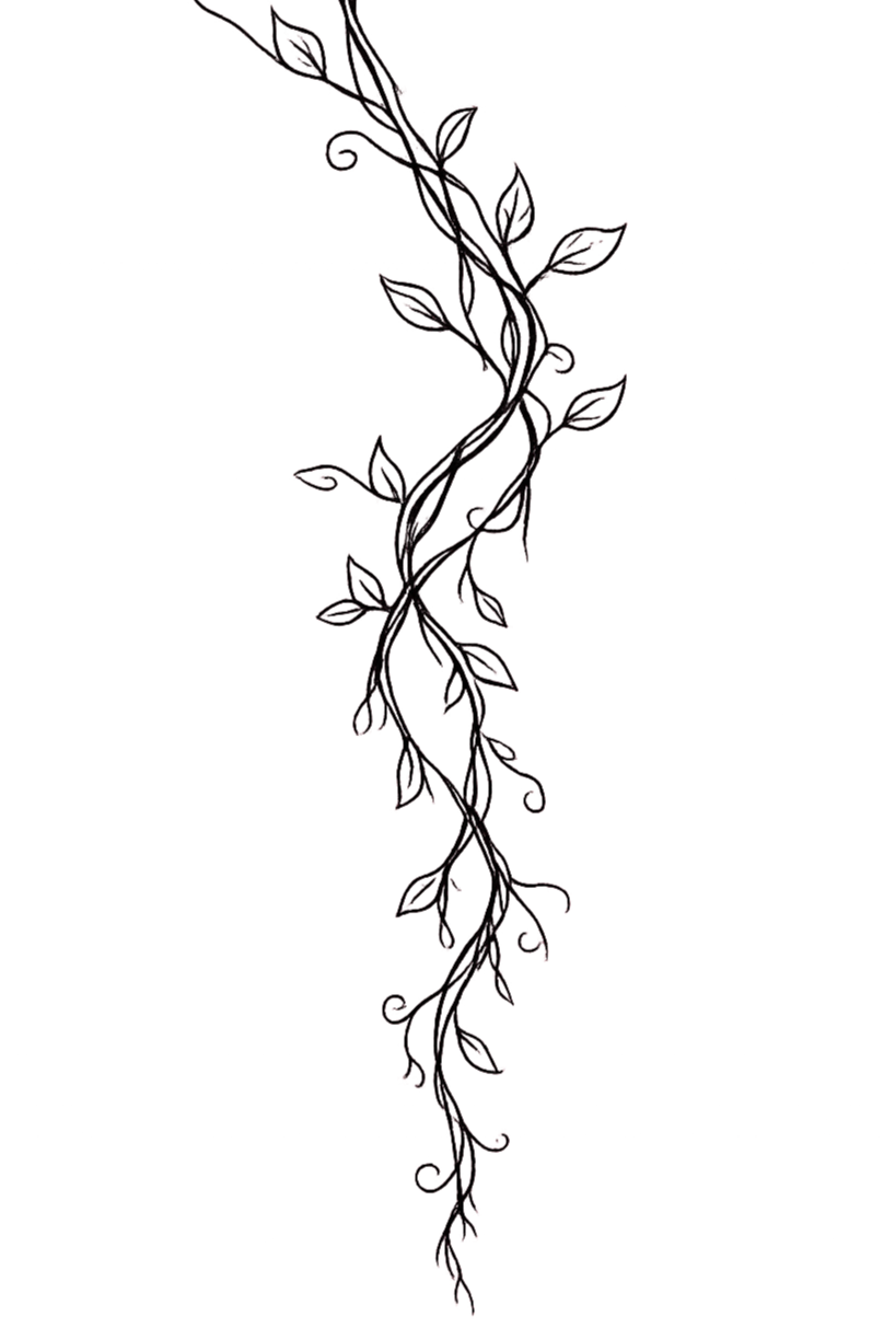 An outline of a vine with leaves and tendrils, stylized in red on a black background.