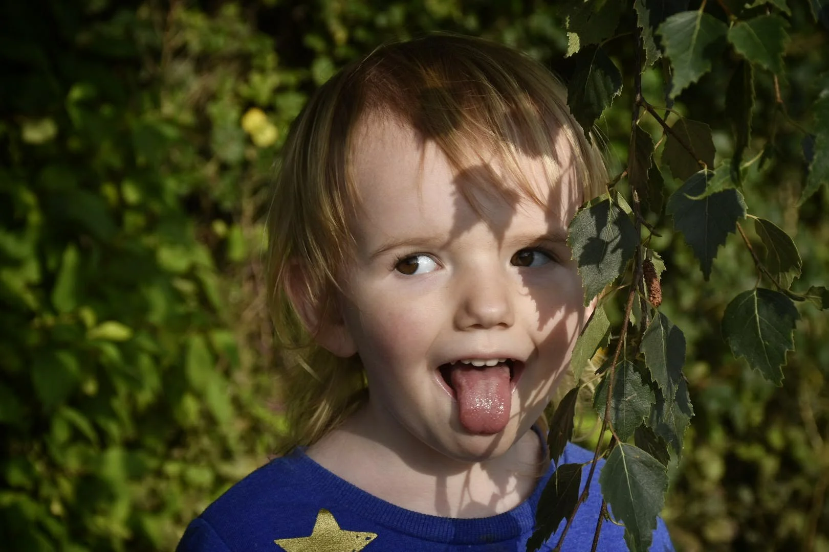 Portraits- Cherished Moments Packages (New)