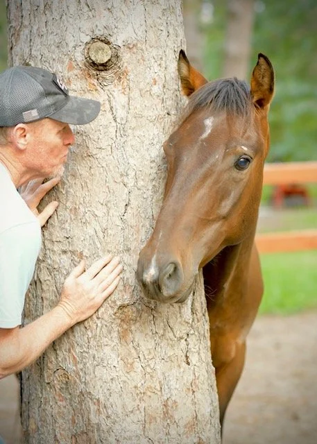 Brian Walker playing peek-a-boo with a horse